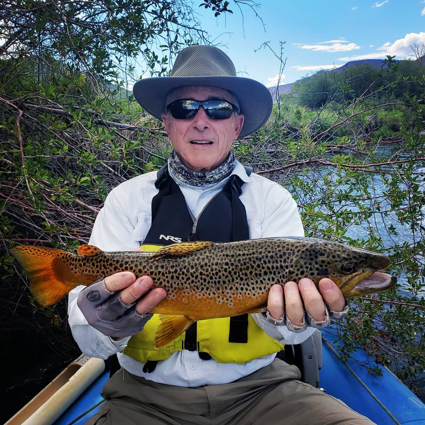 A beautiful brown from a recent float trip.  www.stoneflyangler.com 
.
.
.
.
.
.
.
.
.
.
.

#flyfishing #catchandrelease #keepumwet #browntrout #rainbowtrout #itsallhomewater #clackacraft #stoneflyangler #nrs #olukai #bedrocksandels #yeticoolers #fre