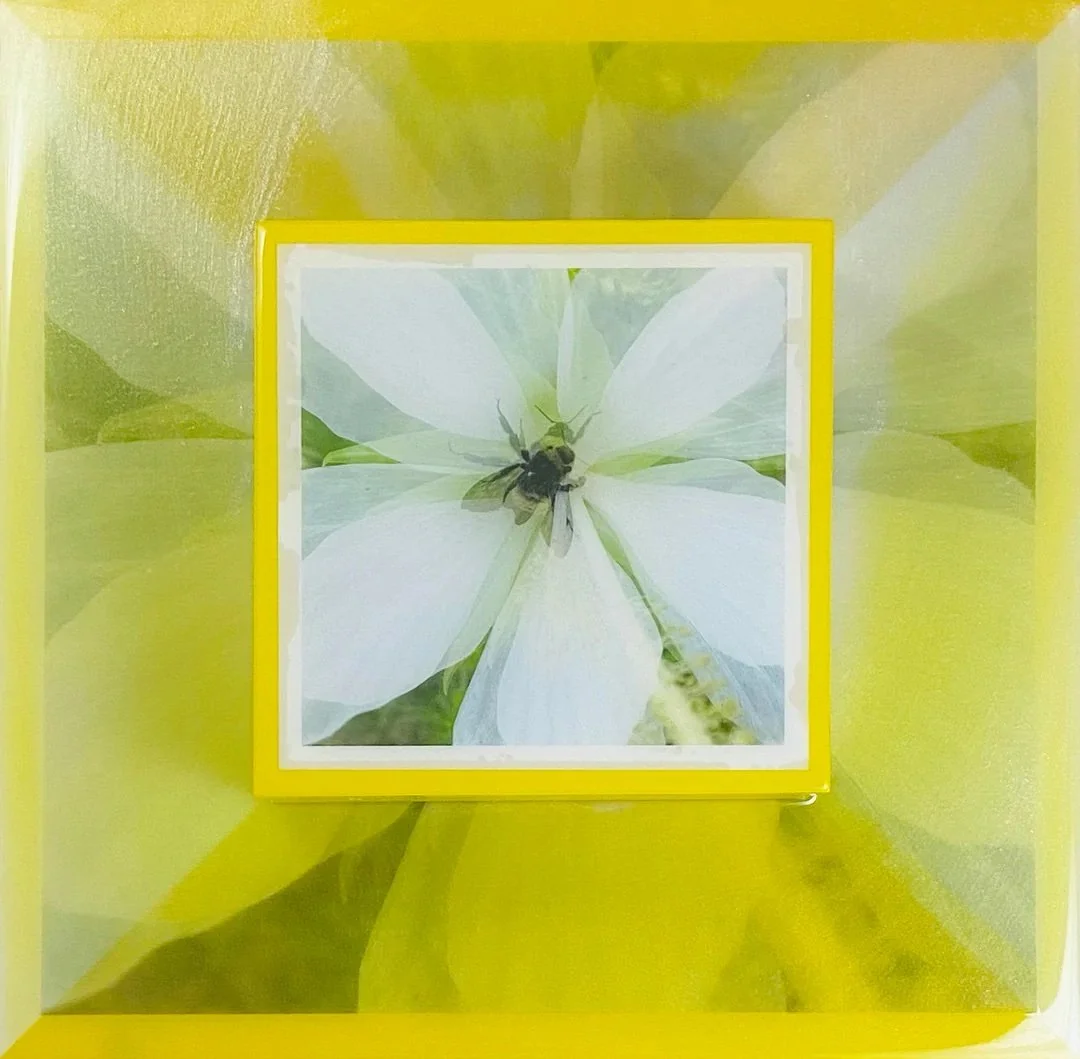 Botanical inspired exhibition blooms at Location Gallery