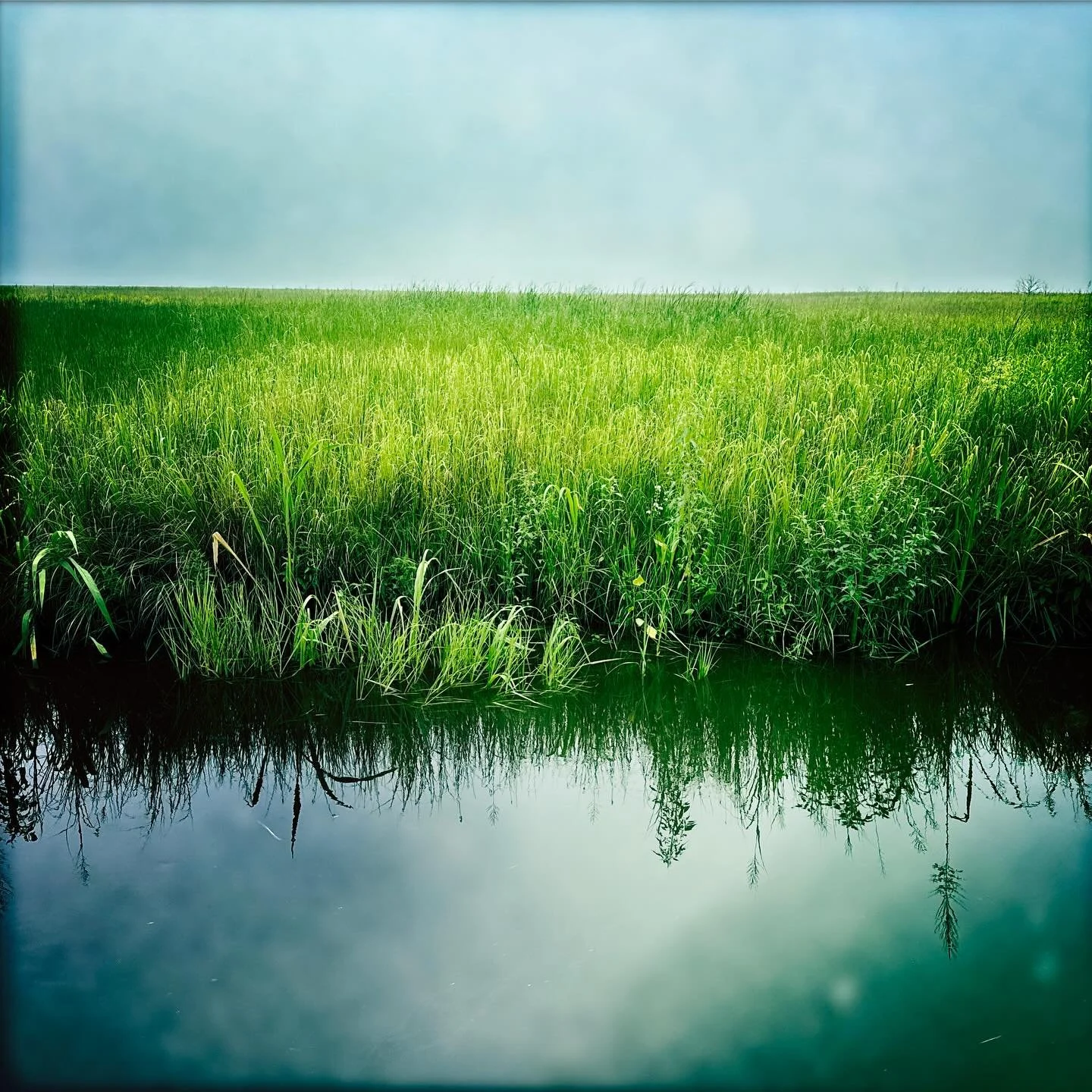 It&rsquo;s where it&rsquo;s at.

##thelandscapeisthenarrative #preservationofplace #leaveitasitis #itbelongstoallofus #mixedmediaartist #photographer #designer #ogeecheeriver