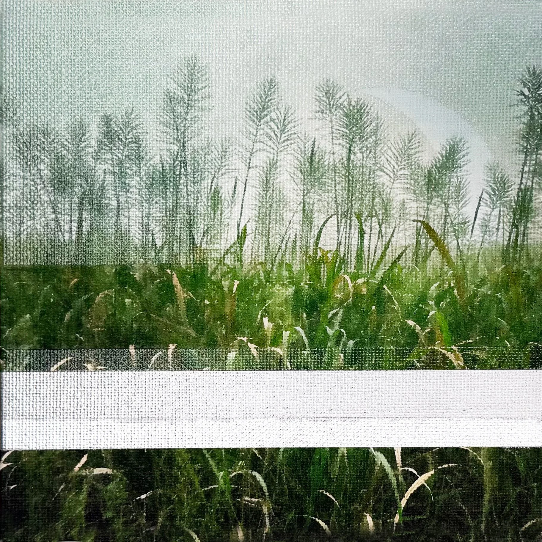 jdunigan-integrity-6x6-f1.jpg