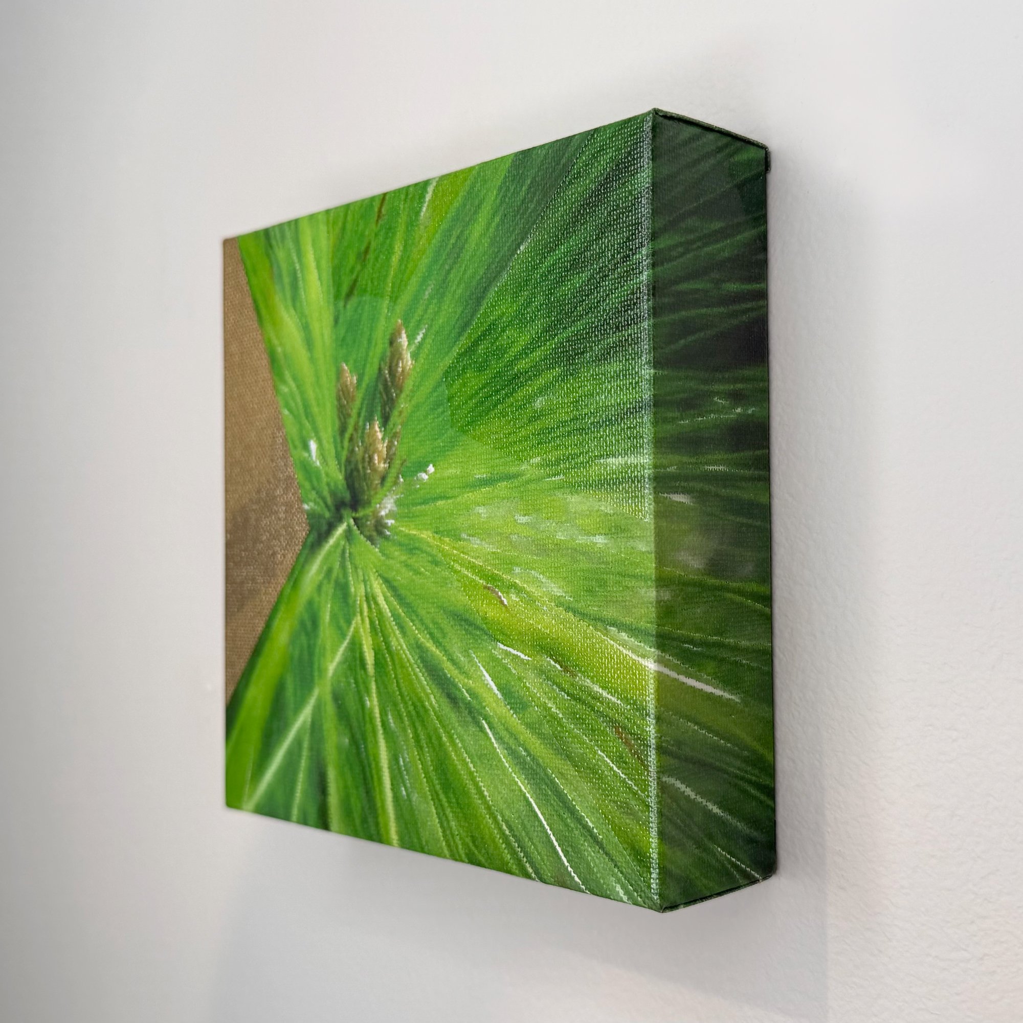 jdunigan-terrene-6x6-f2.jpg