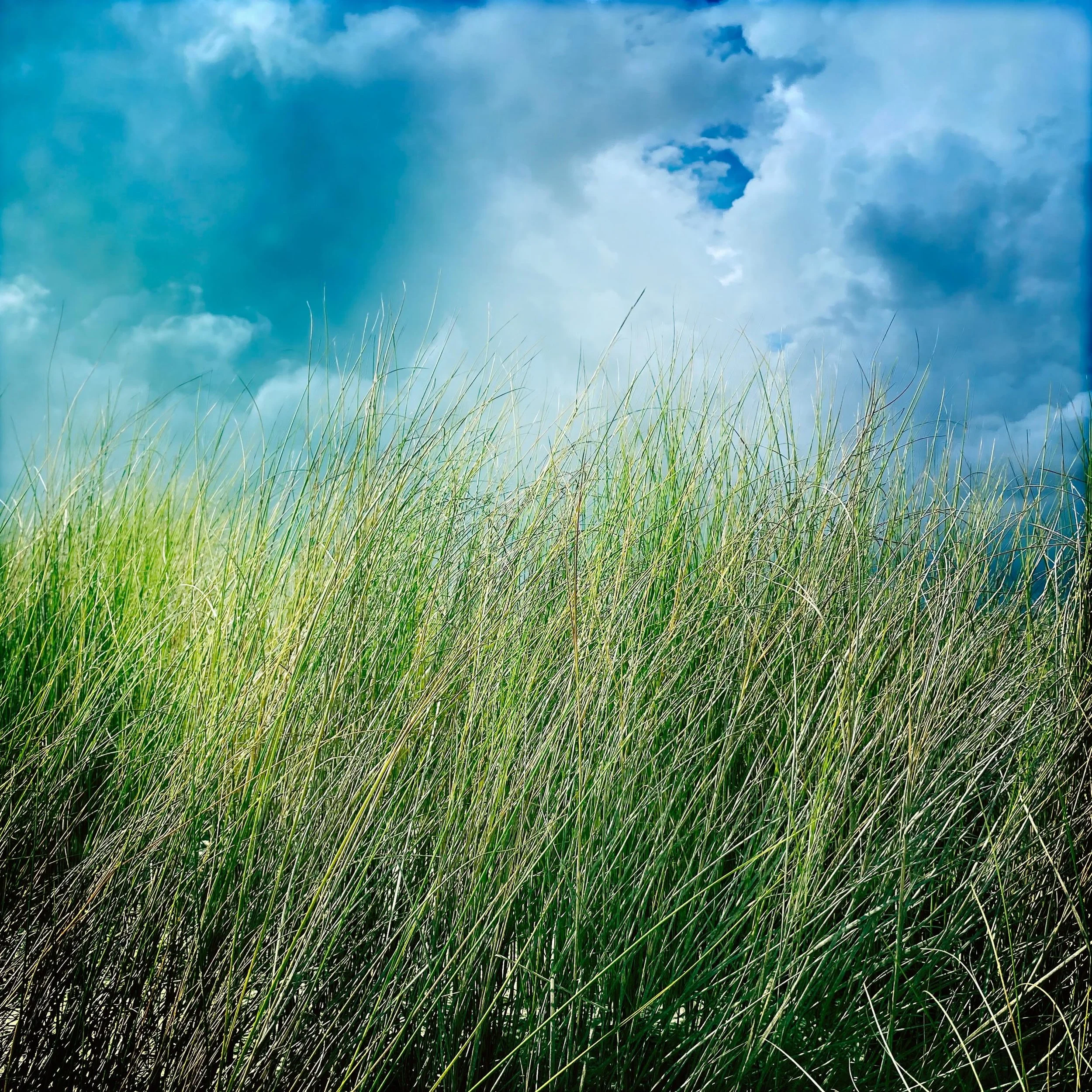 In no particular order.
In its most purest form.
From black and white to color.
Natural abstraction.
@locationgallery 
@joymarketingllc 

#surfacebound 

@ossabawisland, GA
Darrynane Moore, Ireland
Harris Neck Wildlife Refuge, GA
St. Catherine&rsquo;