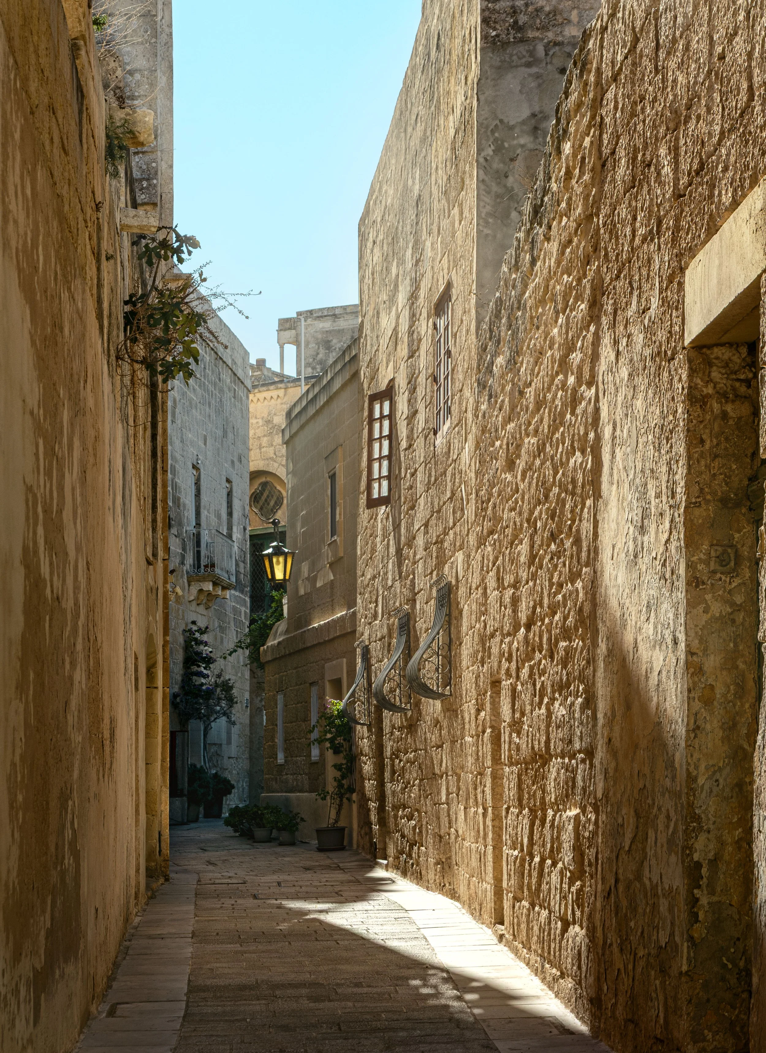 _F0A9572 copy.jpg