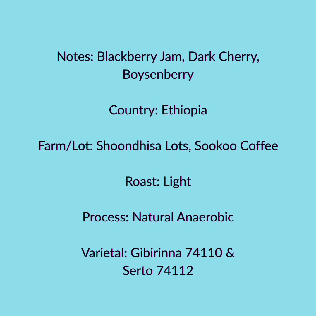 Ethiopia Specs.png