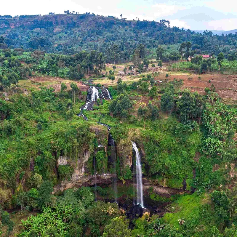 Dizzy Fruit Farm 3.webp