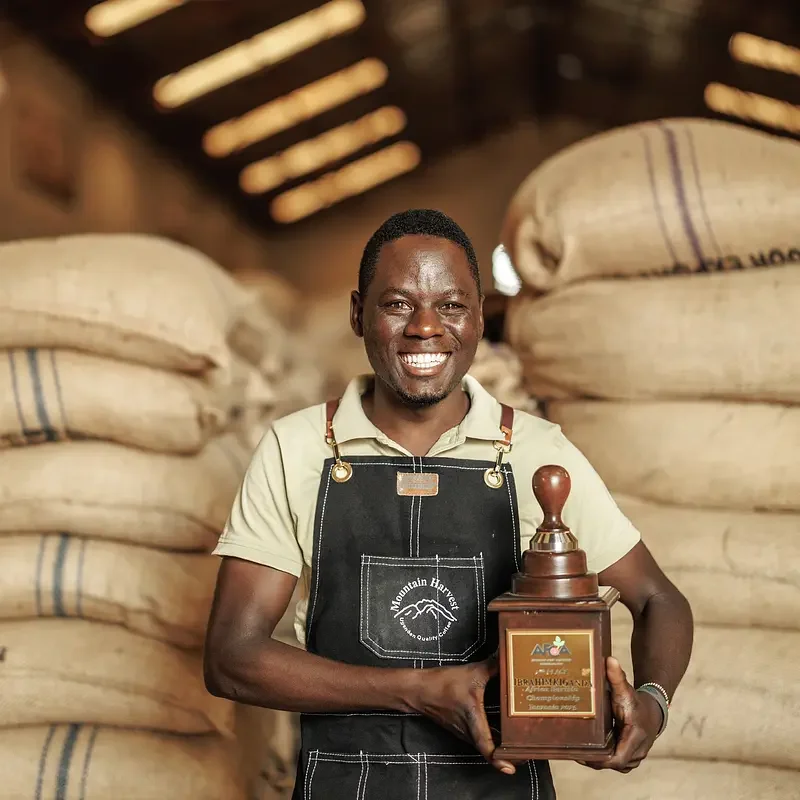 Dizzy Fruit Award.webp