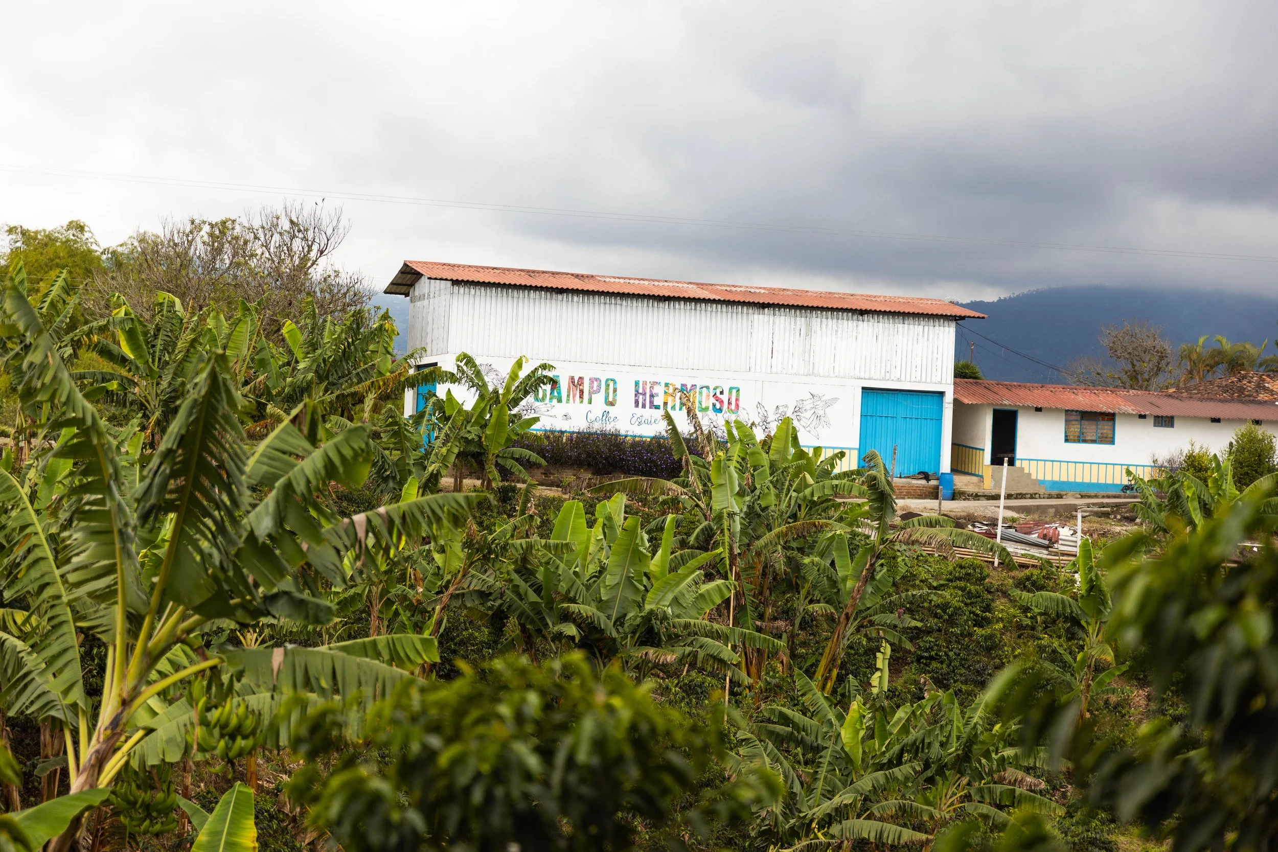 Colombia - CM Red Fruits
