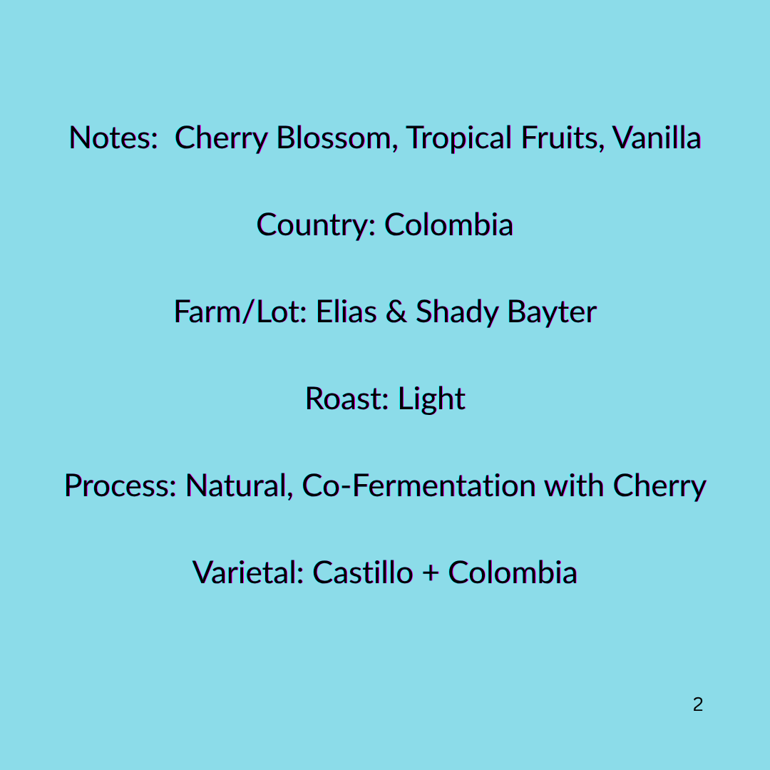 Cherry Blossom Description.png