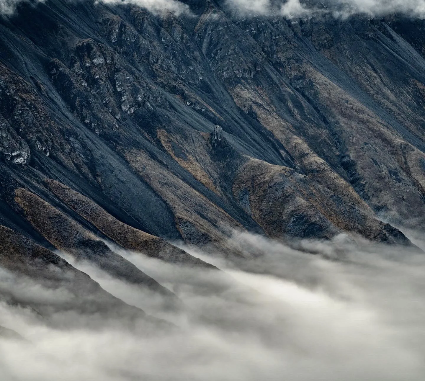 147D60F3-94BE-42BD-BA8A-B4C32EC09E98 3.jpg