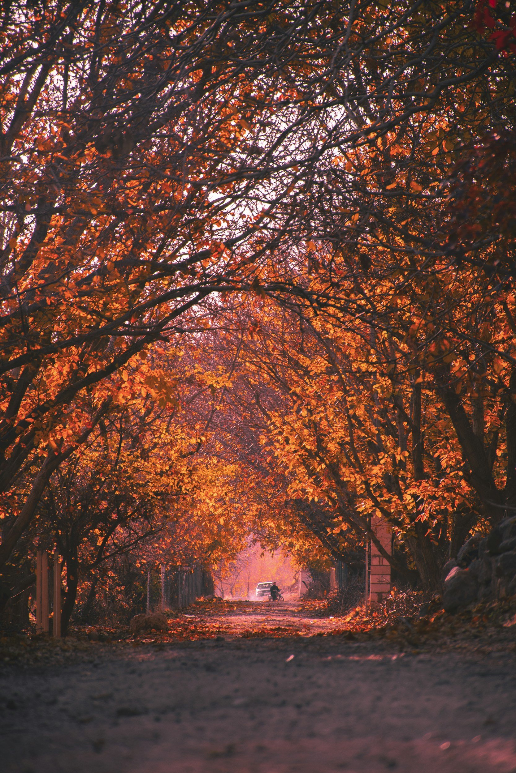 Carrying Summer's Ease Into a Busy Fall