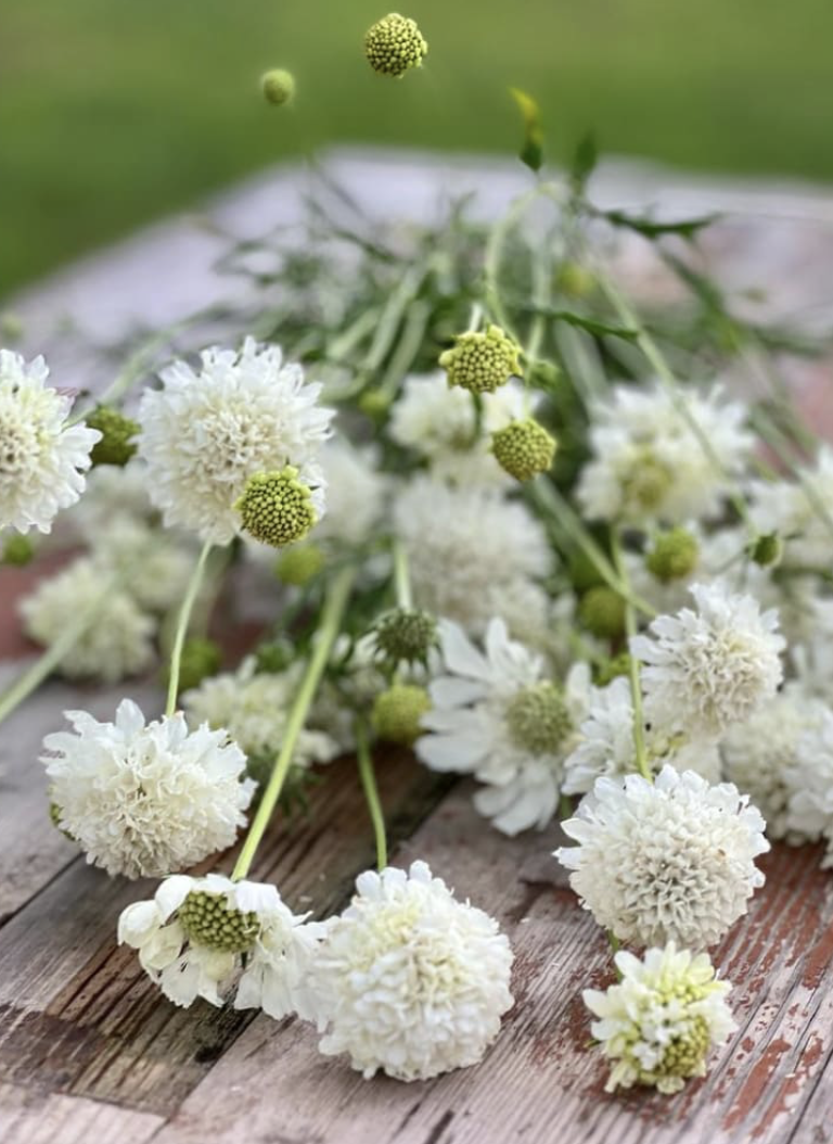 Screenshot 2026-02-13 at 5.17.53 PM.png