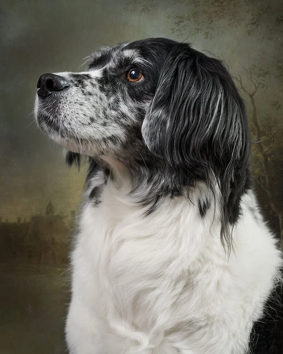 DubC Dogs Featured in County Lines Magazine