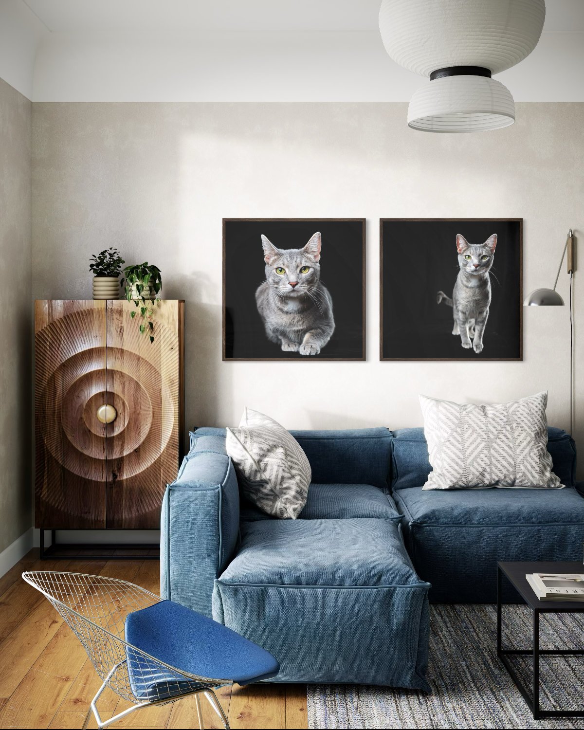 cat-portraits-near-me-west-chester.jpg