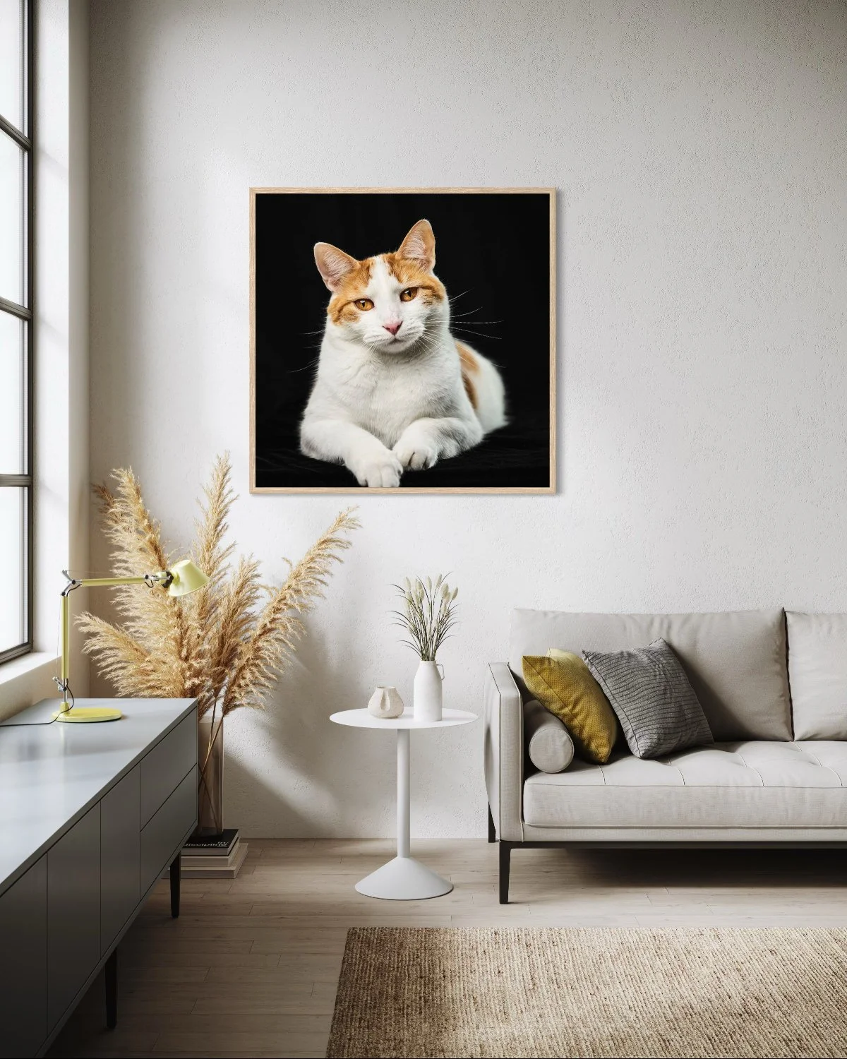 cat-photography-west-chester-pa.jpg