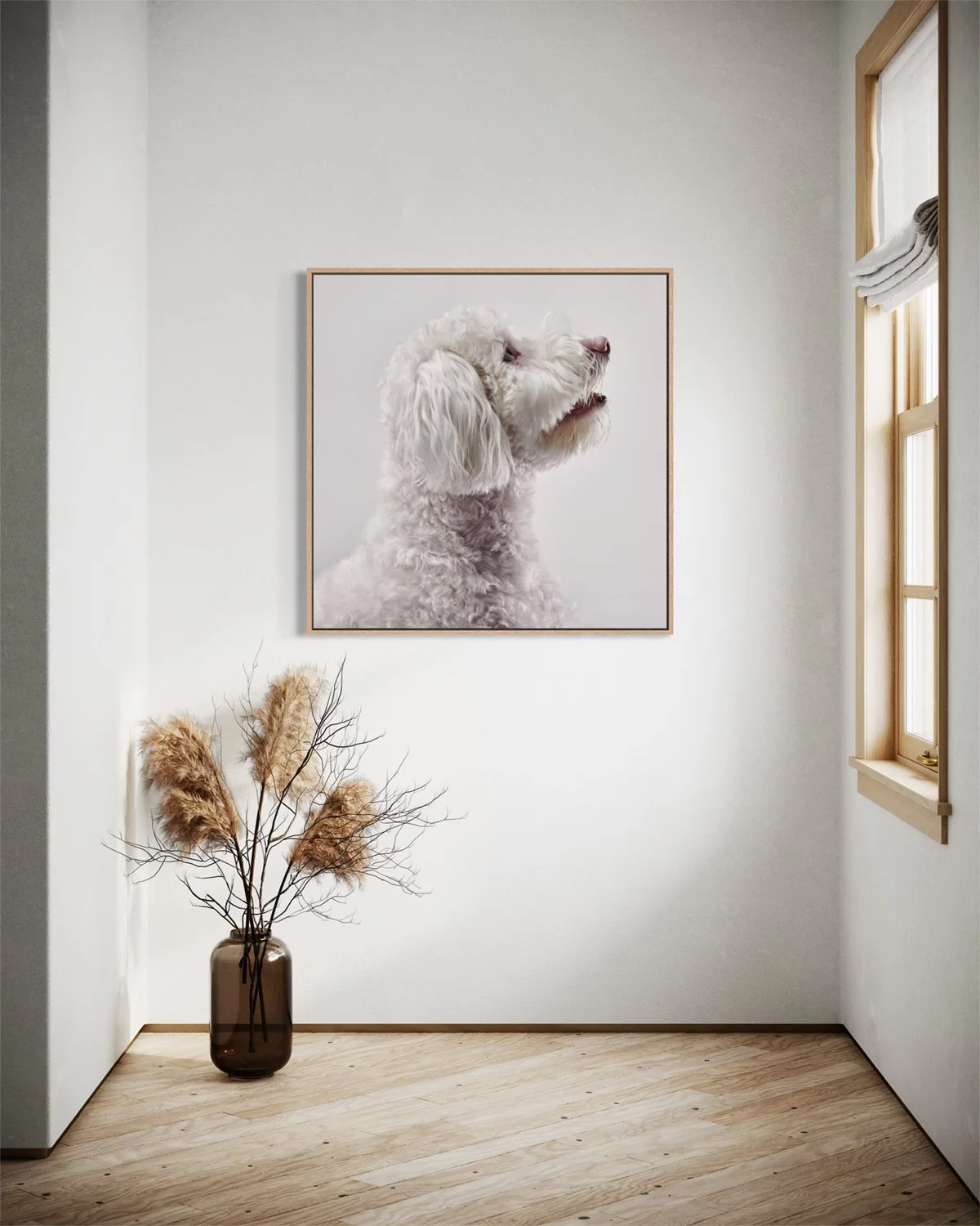 dubc-dog-portrait-white-poodle.jpg