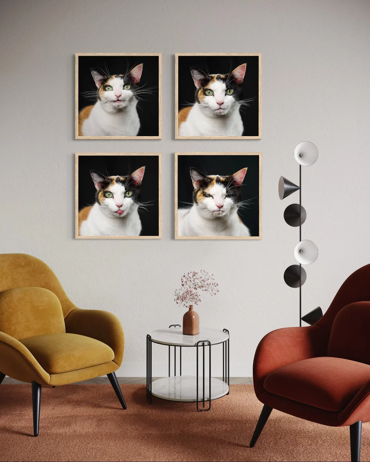 cat-photography-portraits-west-chester-pa.jpg