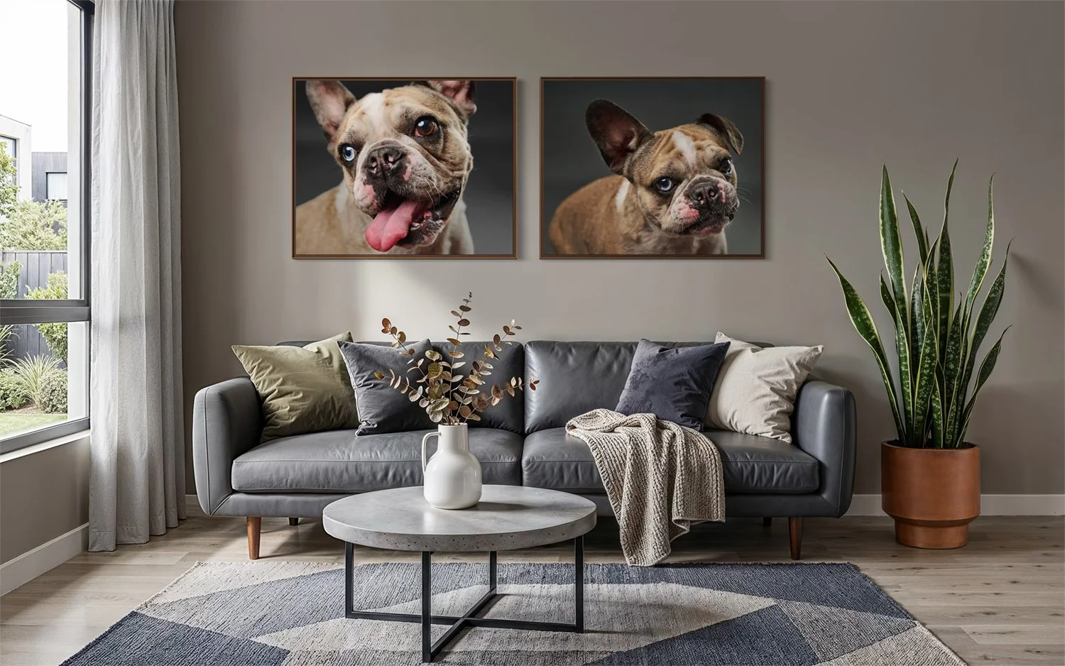 dubc-dog-portrait-wall-prints-boston-terrier.jpg