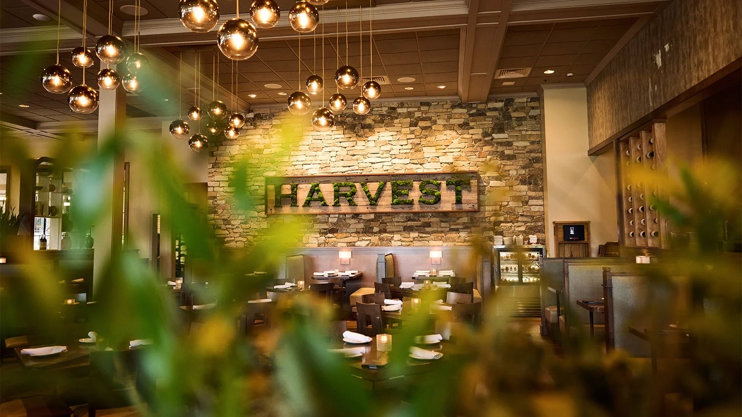 Harvest-Logo.jpg