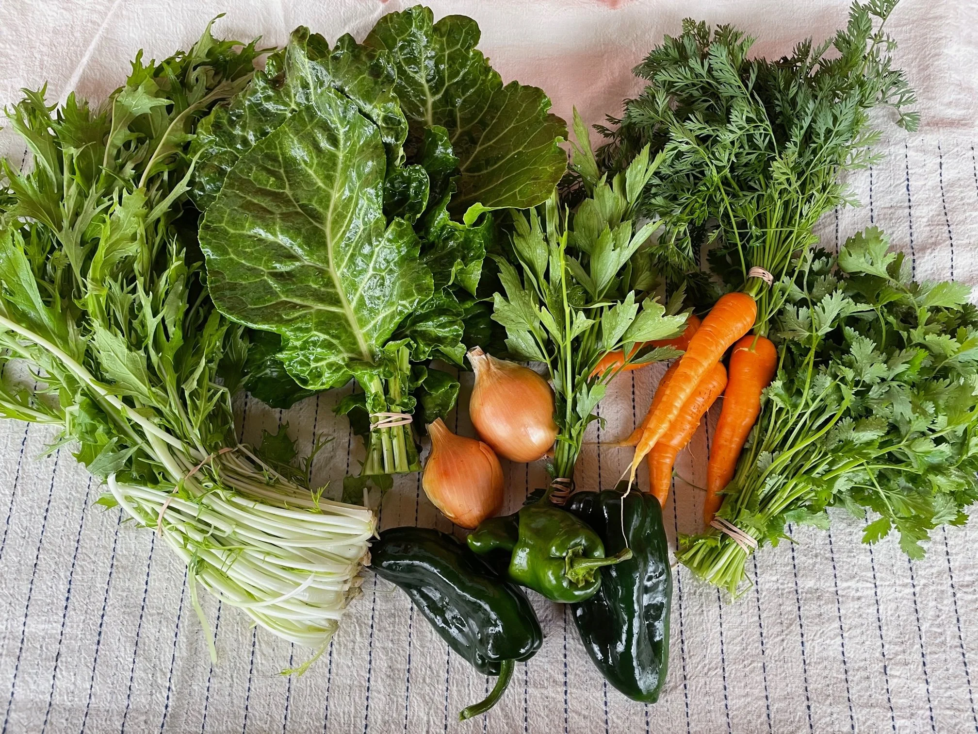 CSA SHARE Portland pick up