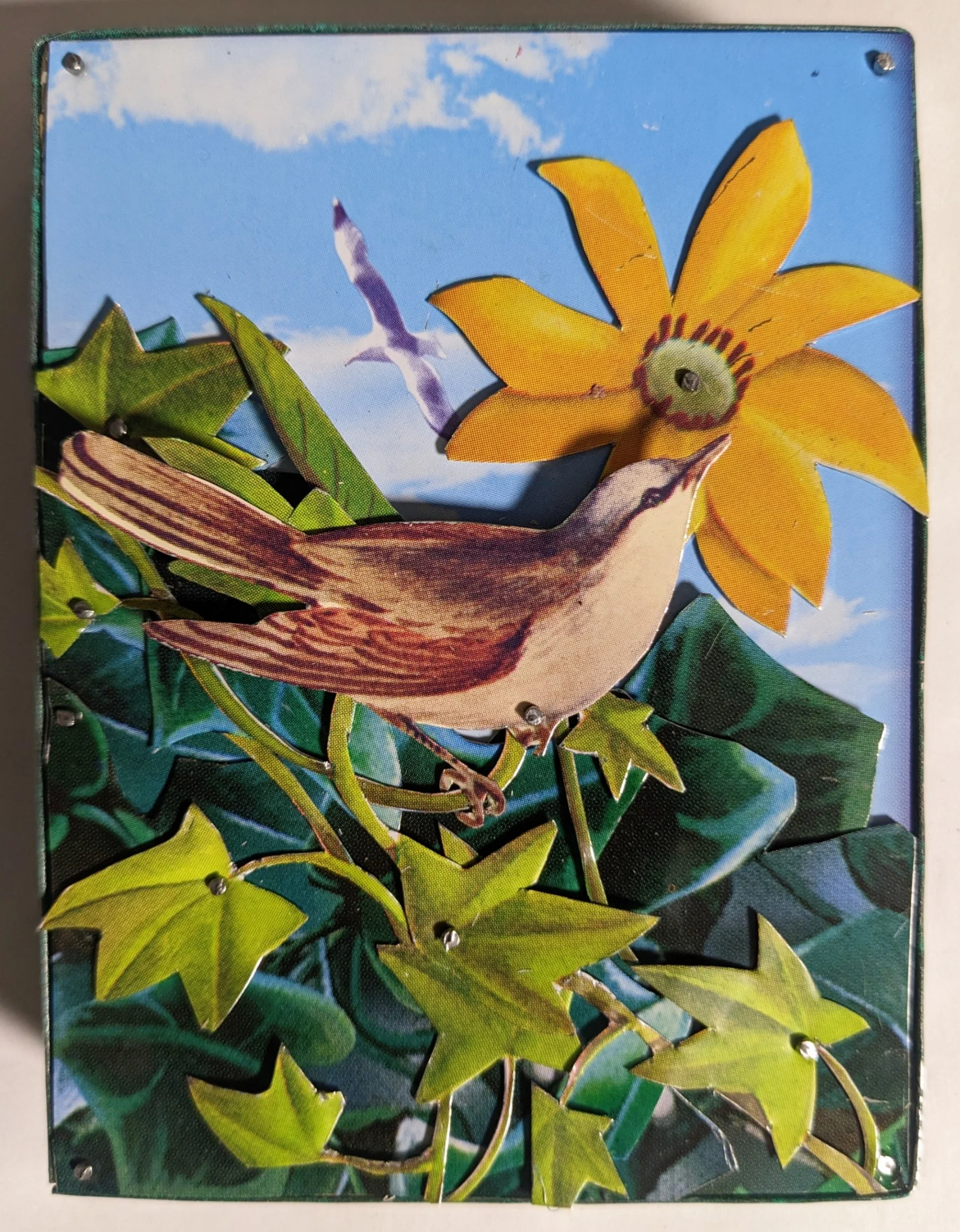 ROUND TWENTY FOUR #3