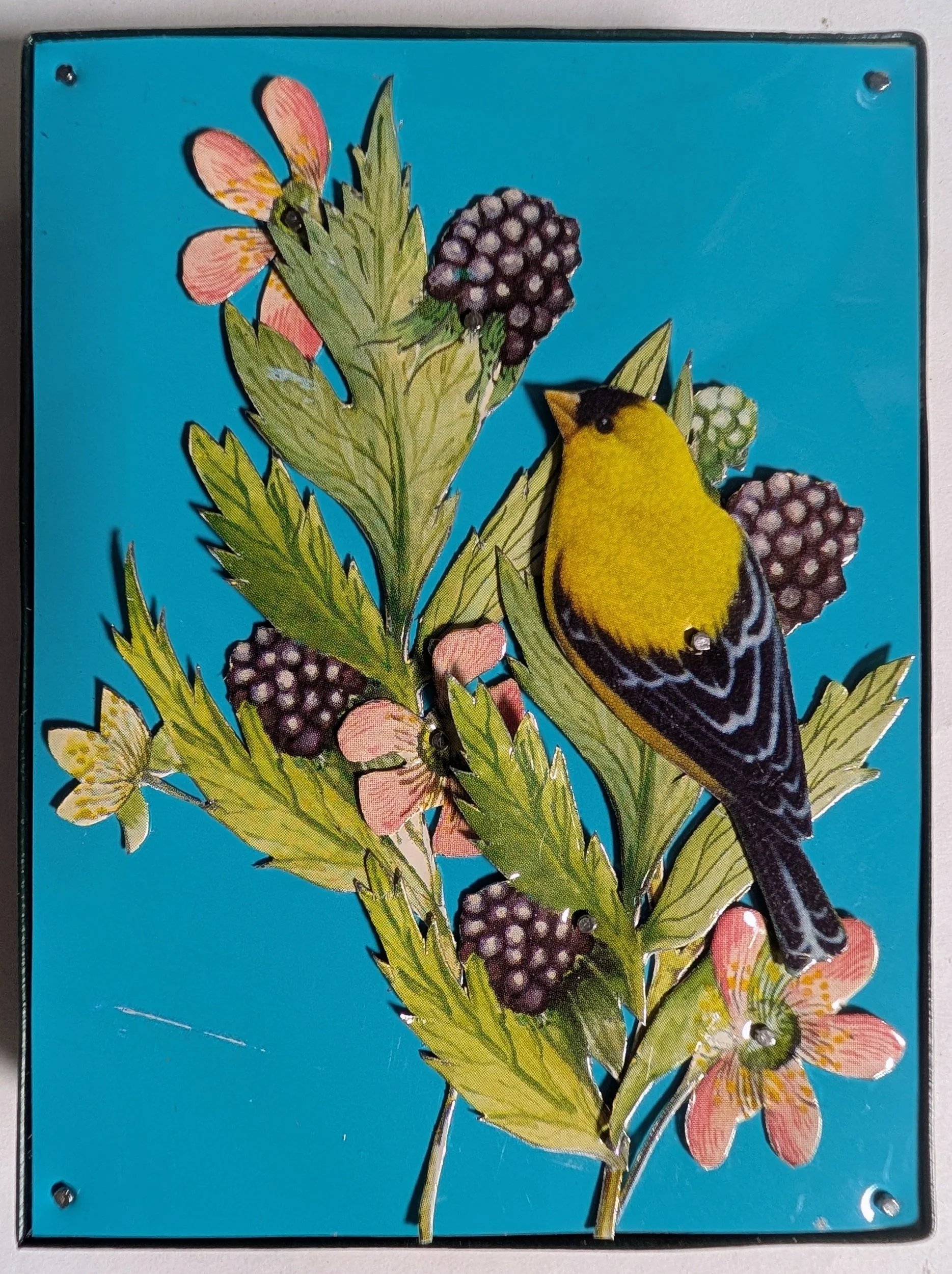 ROUND TWENTY FOUR #18