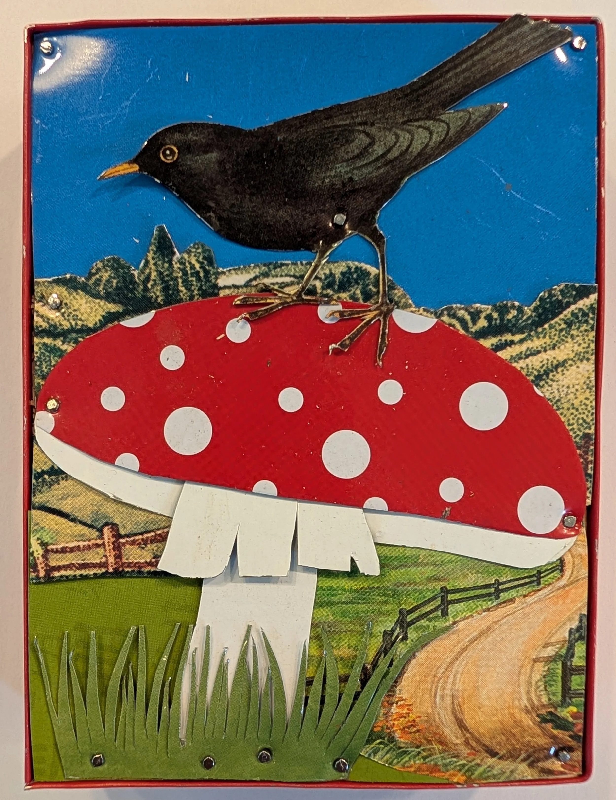 ROUND TWENTY FIVE #6