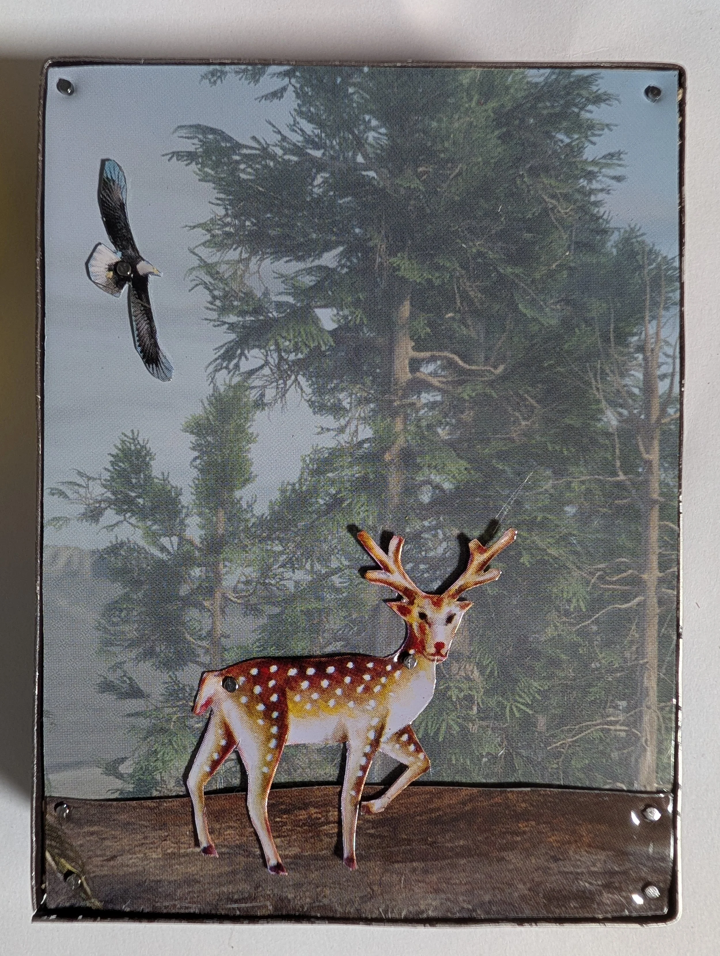 ROUND TWENTY FIVE #18