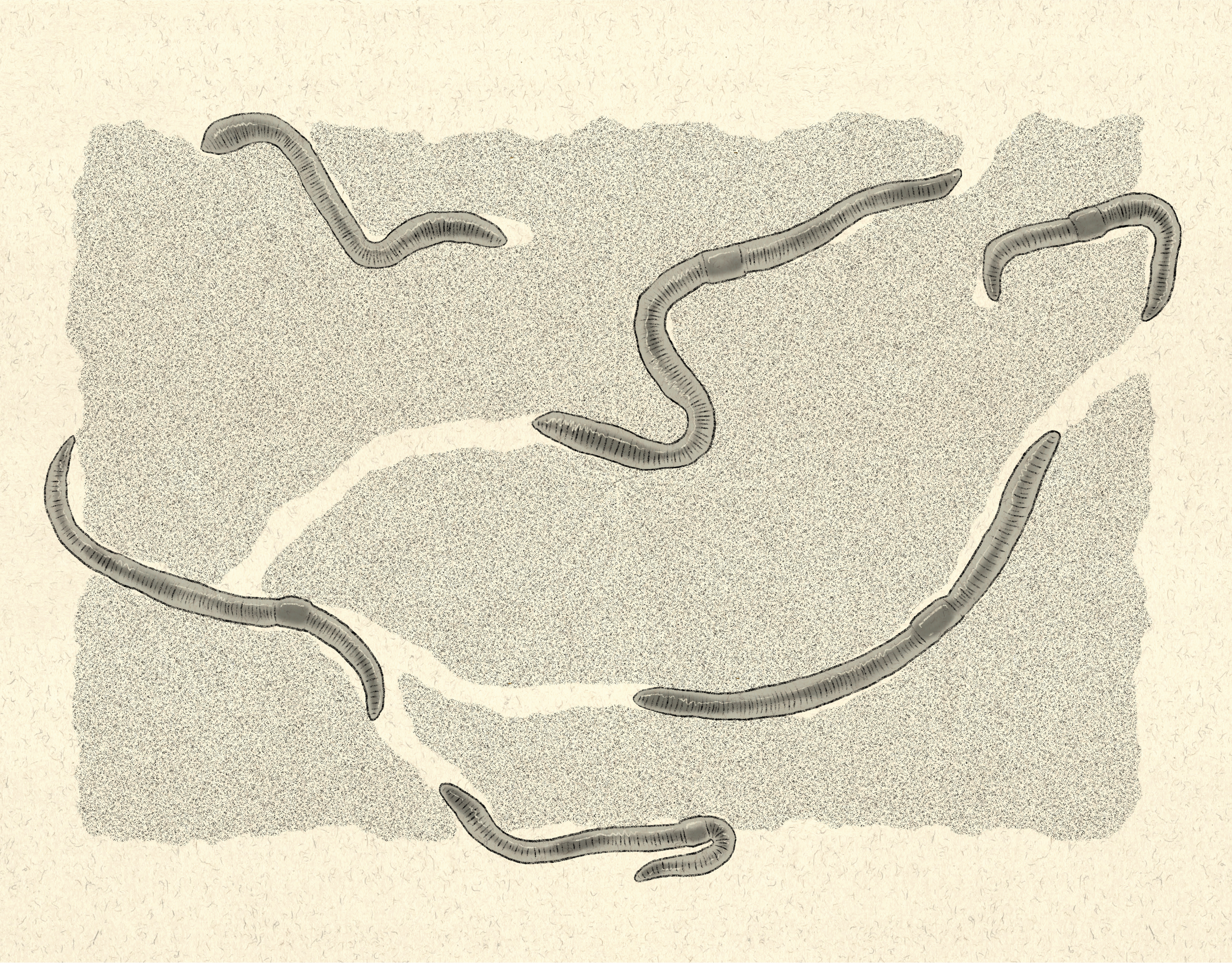 Untitled_Artwork.png
