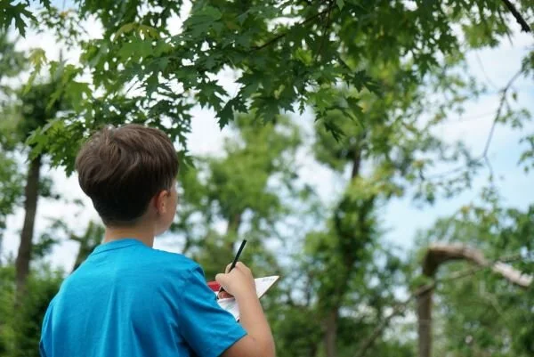 My Tree and My Kids: Journaling to Capture the Wonder and Growth of Both