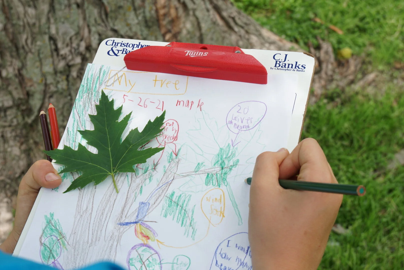 My Tree and My Kids: Journaling to Capture the Wonder and Growth of Both —  Rebecca LeVake