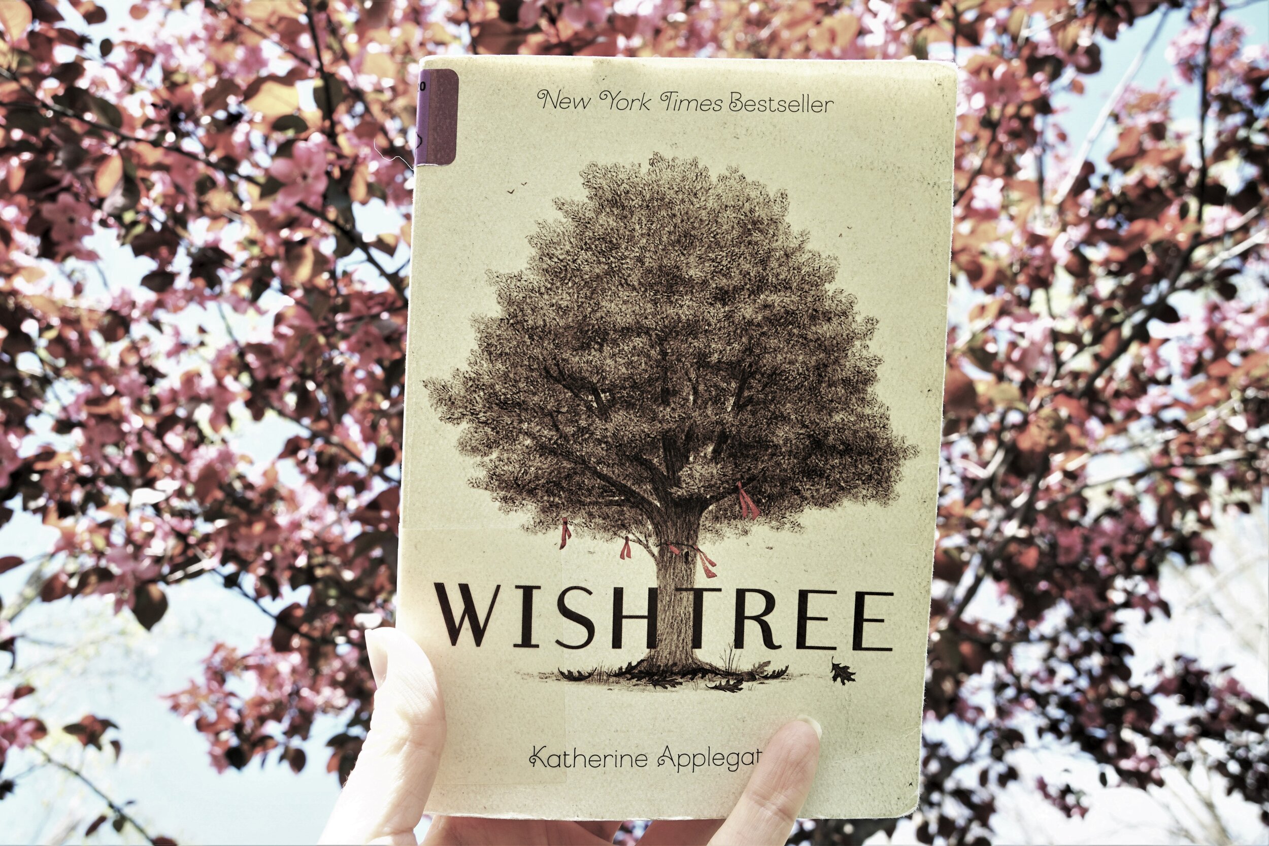 Wishtree: An Encouraging Story About a Tree (which those of us in Cedar Rapids could really use)