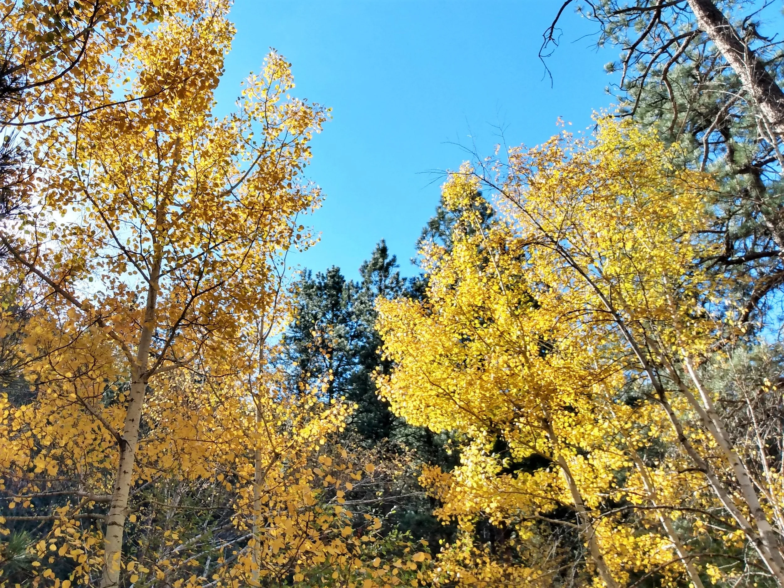 IMG_20211016_105831945_HDR-edited.jpg