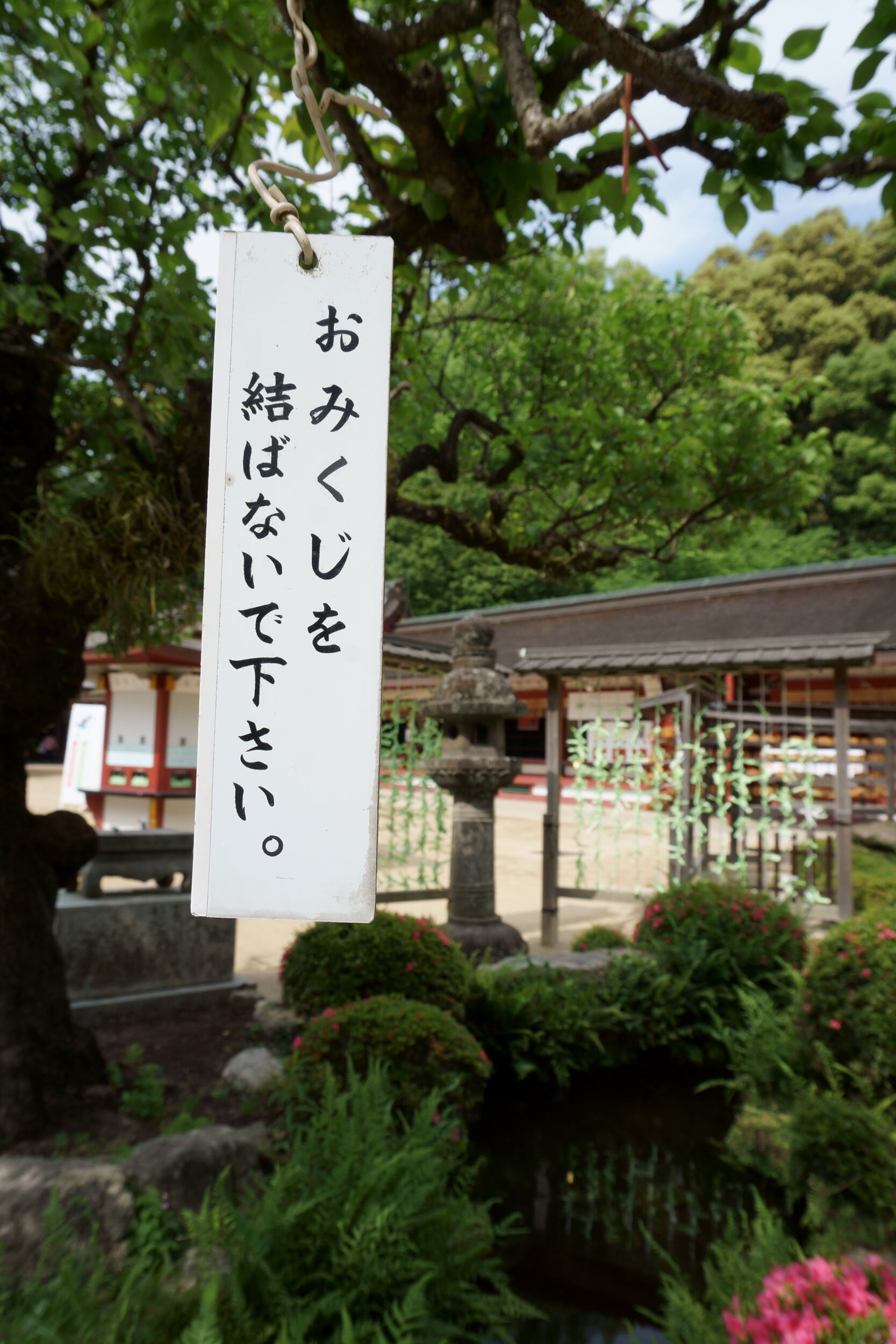 “Please don’t tie your paper fortune to the tree” sign at a shrine in Fukuoka, Japan.  Ironic because the sign is tied to a tree. In Japan, when a good fortune is drawn, it is typical to tie the paper up to a tree in the shrine.