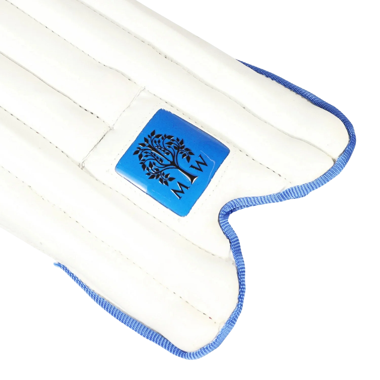 Junior Sapling 2.webp