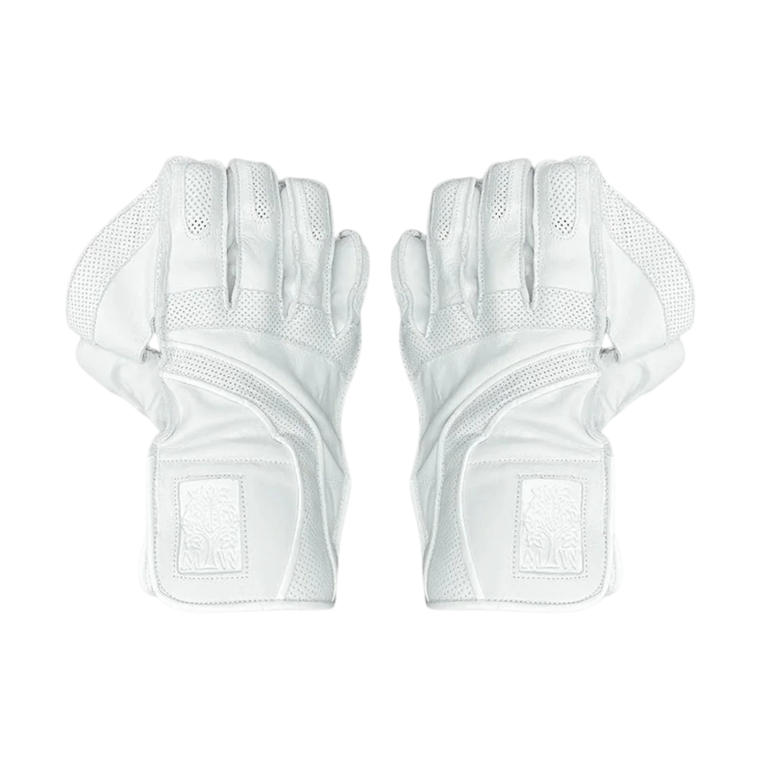 Wicket Keeping Gloves
