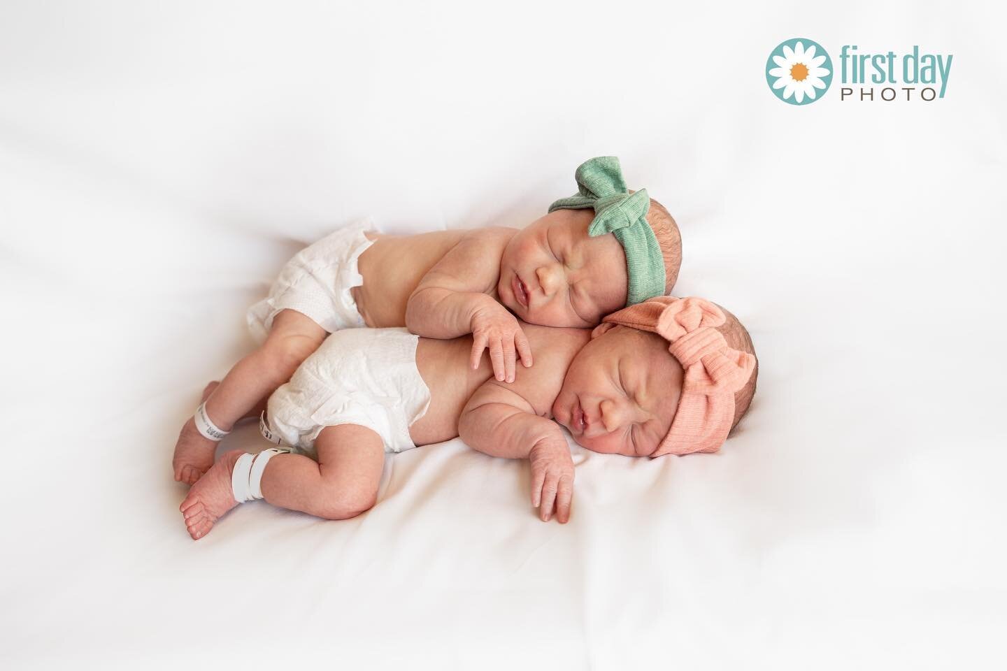 Sisters. 💕🎀💕🎀
#twins 
#firstdayphoto
www.firstdayphoto.com
.
.
.
.
.
#fresh48 #first48 #firstdayphotonewborns #newbornphotography #newbornphotographer #babyphoto #babyphotos #babyphotography #babies #cutebaby #babiesofinstagram #bundleofjoy #twin