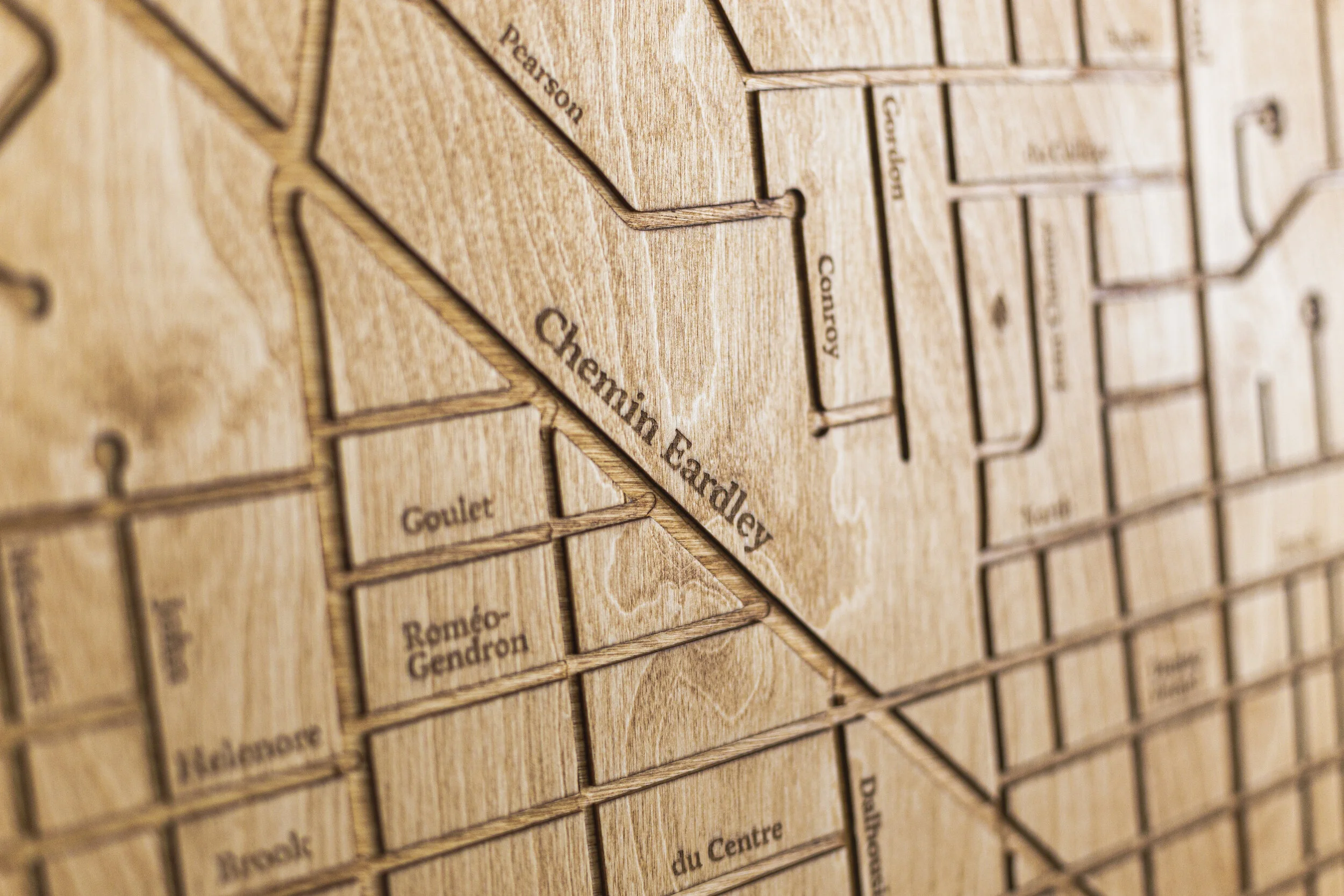 closeup3.jpg