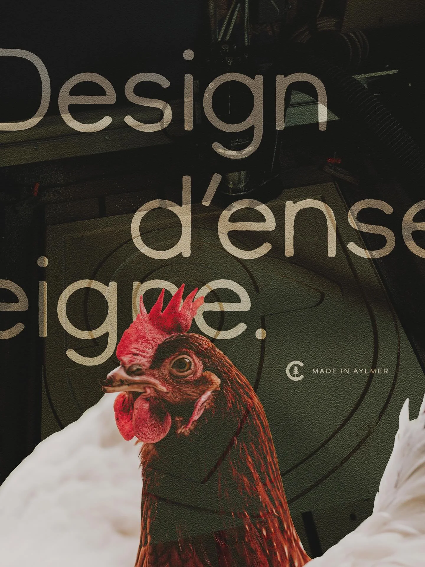 Carbone se sp&eacute;cialise dans le design et la fabrication d&rsquo;enseignes en bois.

Voici quelques projets r&eacute;alis&eacute;s dans le pass&eacute; qui pourraient vous inspirer. Pr&ecirc;t &agrave; donner du caract&egrave;re &agrave; votre e