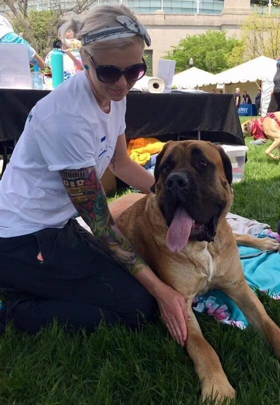 Small animal / pet massage therapy in Reno, NV.