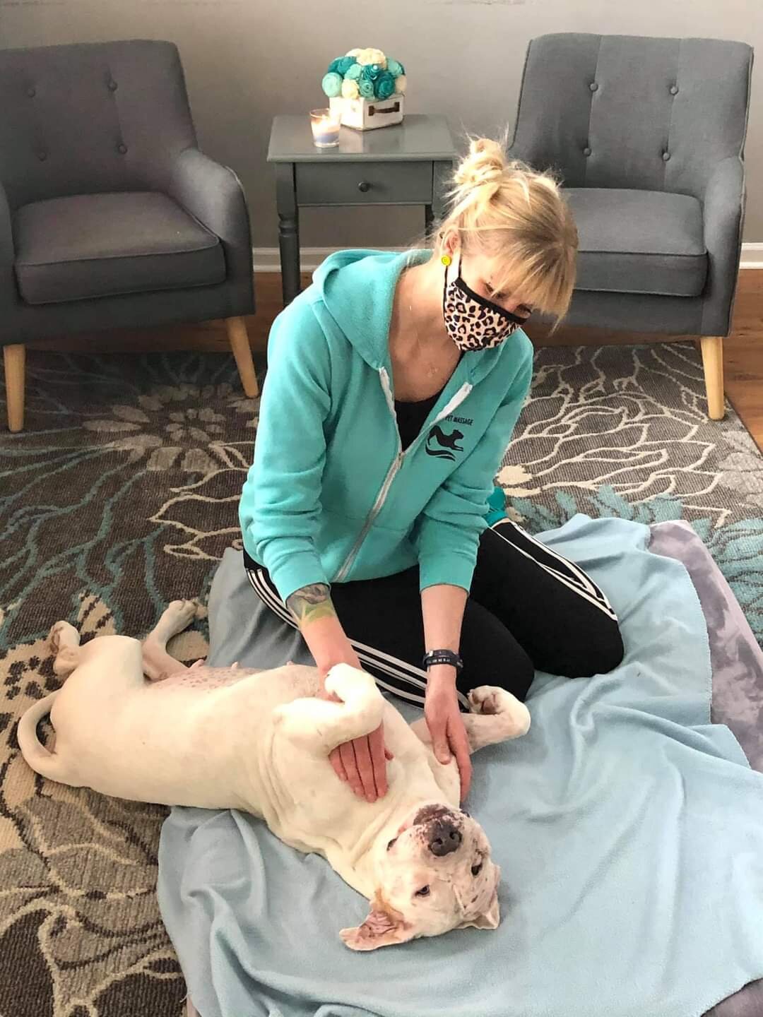 Rescue dog massage therapy in Reno, Nevada.