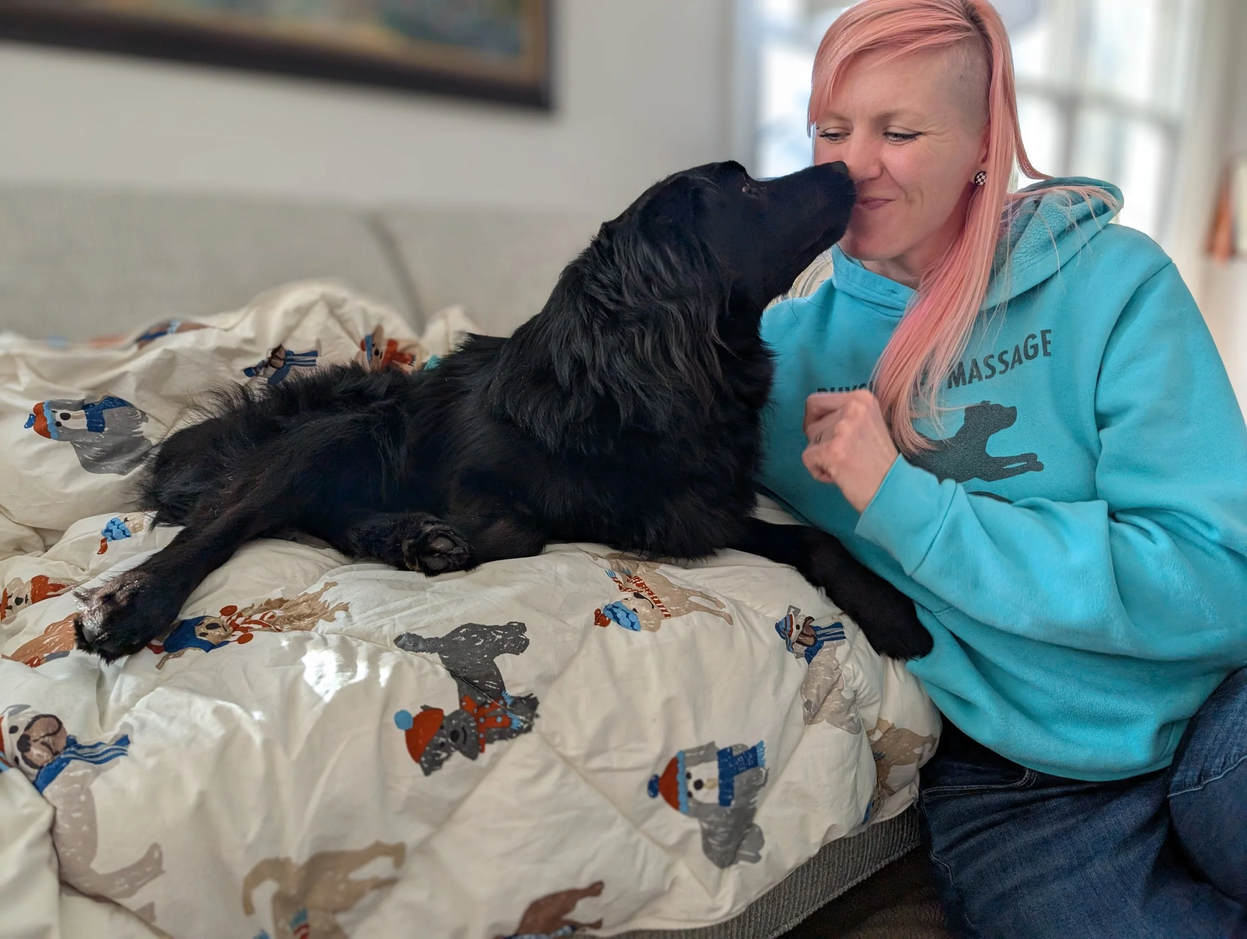 Improved comfort and relaxation after a Canine Massage