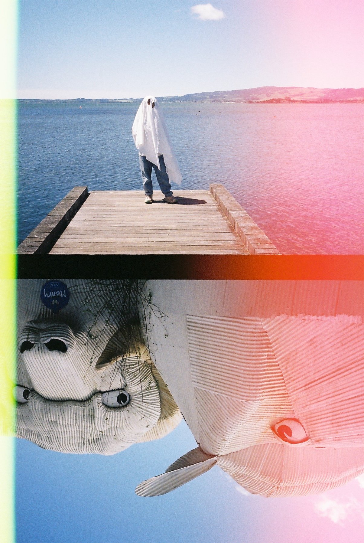 Near Rotorua, New Zealand