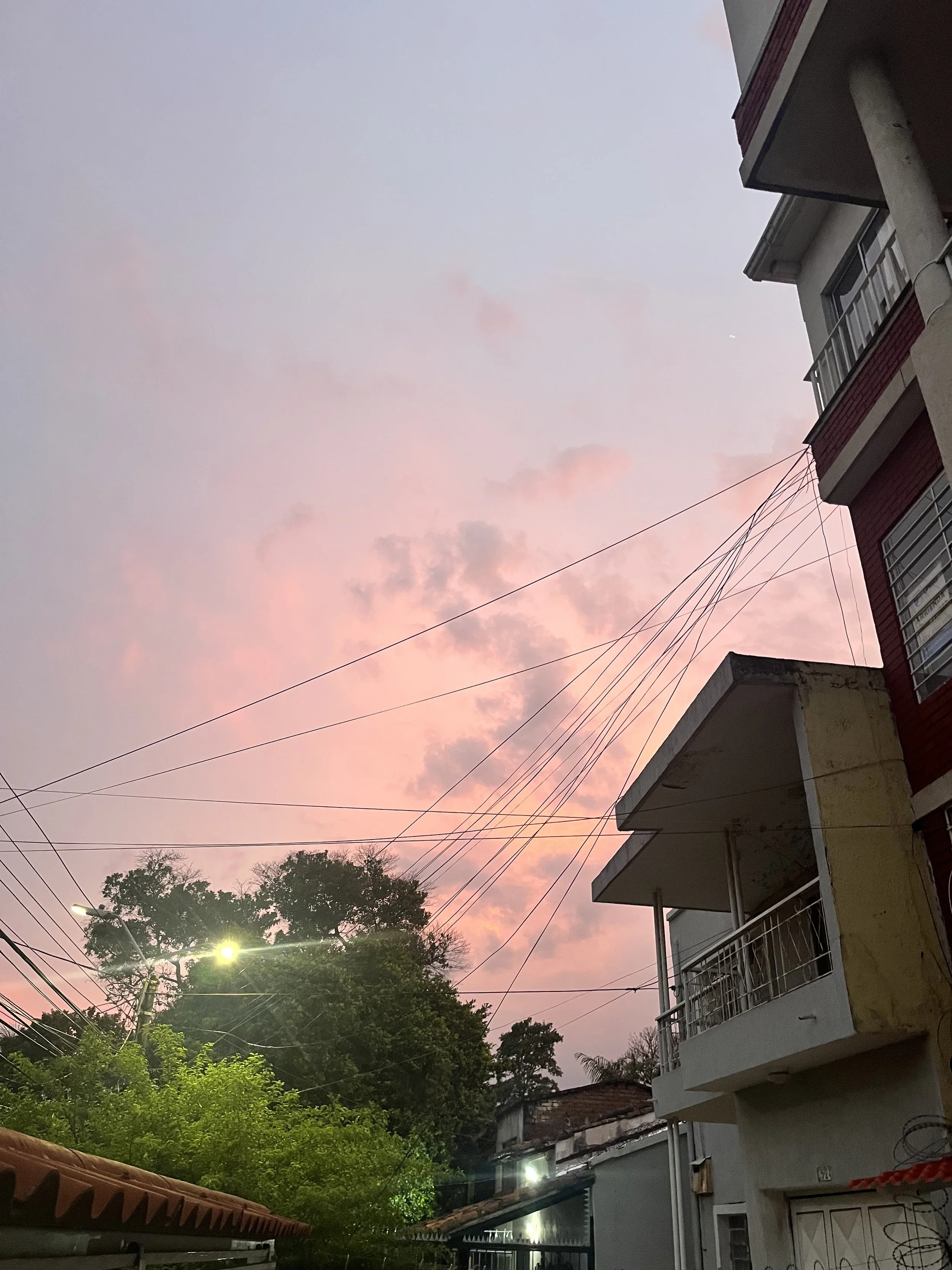 IMG_6913.jpeg