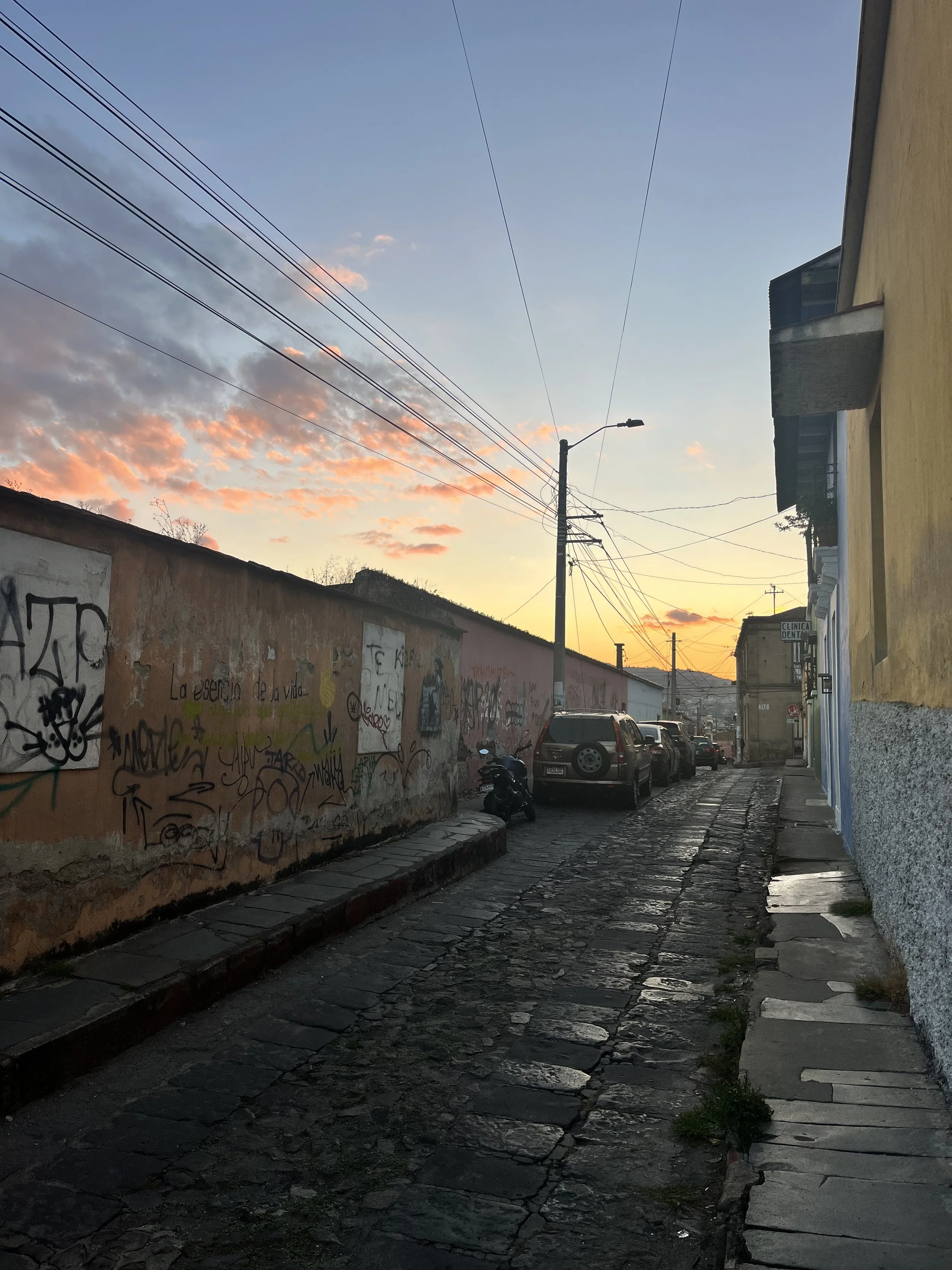IMG_8229.jpeg
