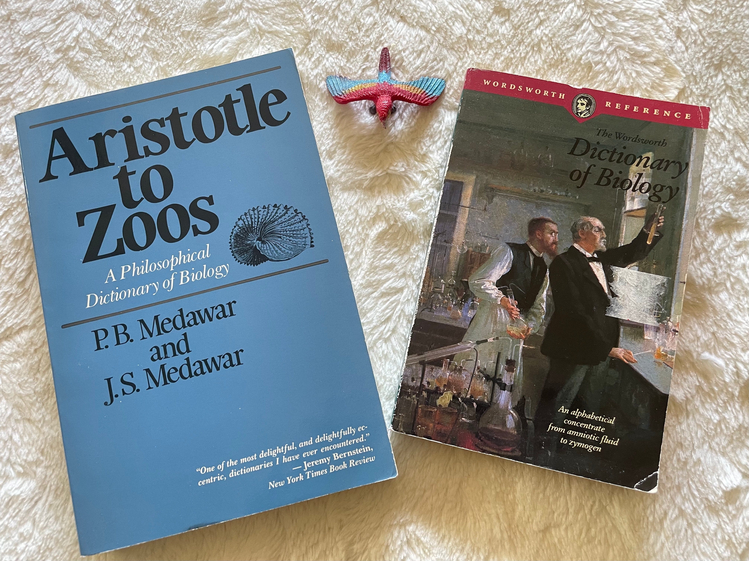 Our latest dictionary acquisitions!