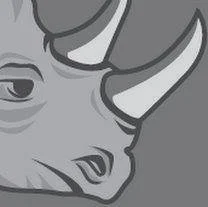 KaizenRhino Solutions International Consultancy