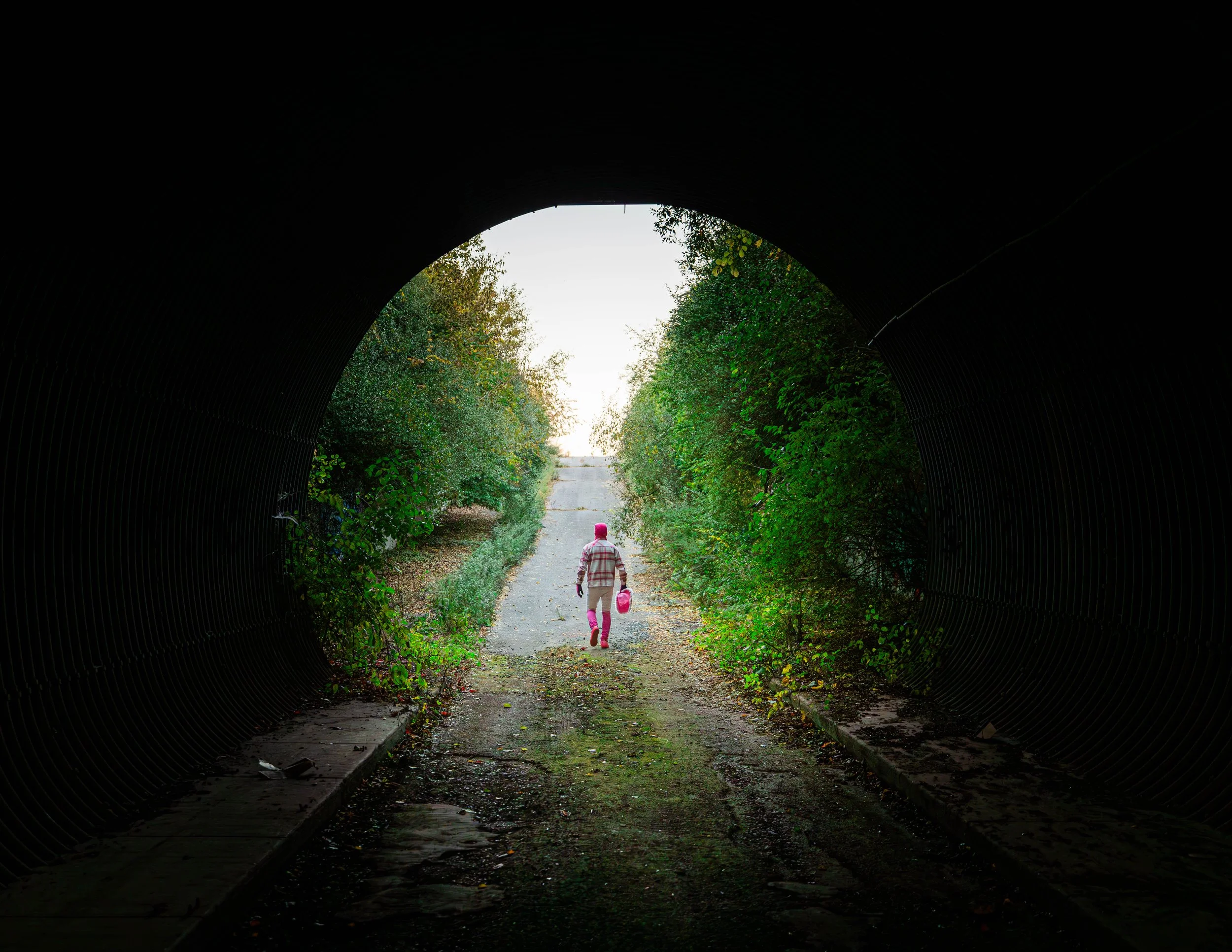IMGL1529-Enhanced-NR-1.jpg