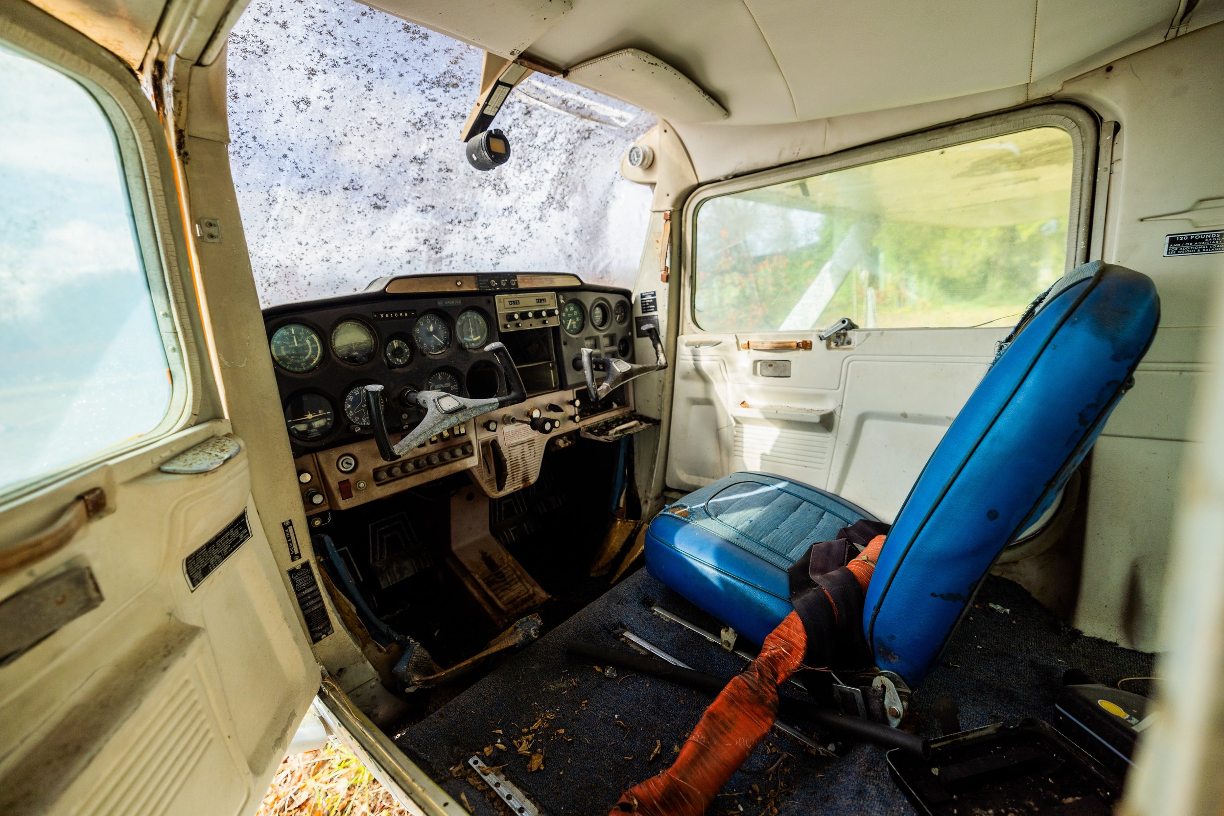 IMGL6328-1.jpg