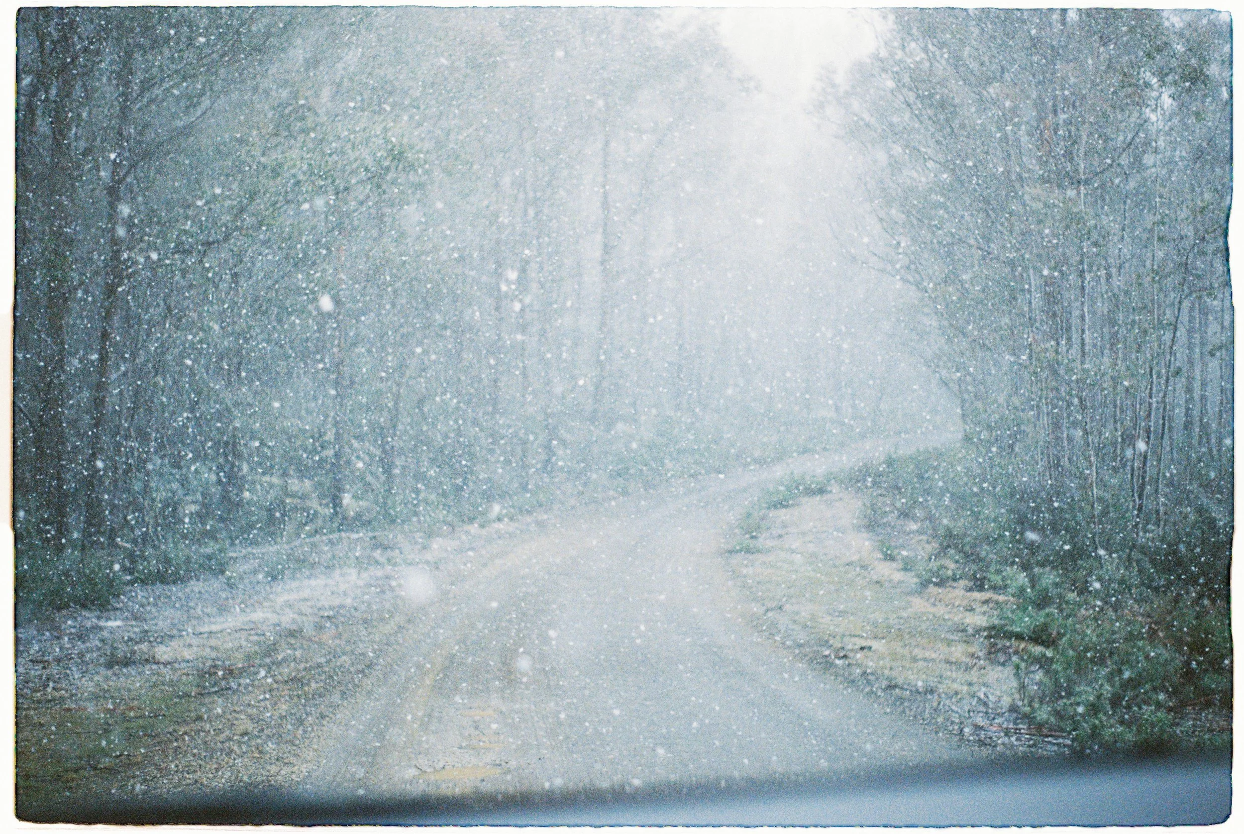 A44F15F7-8751-40A7-9988-FEAC3CB04824.jpeg