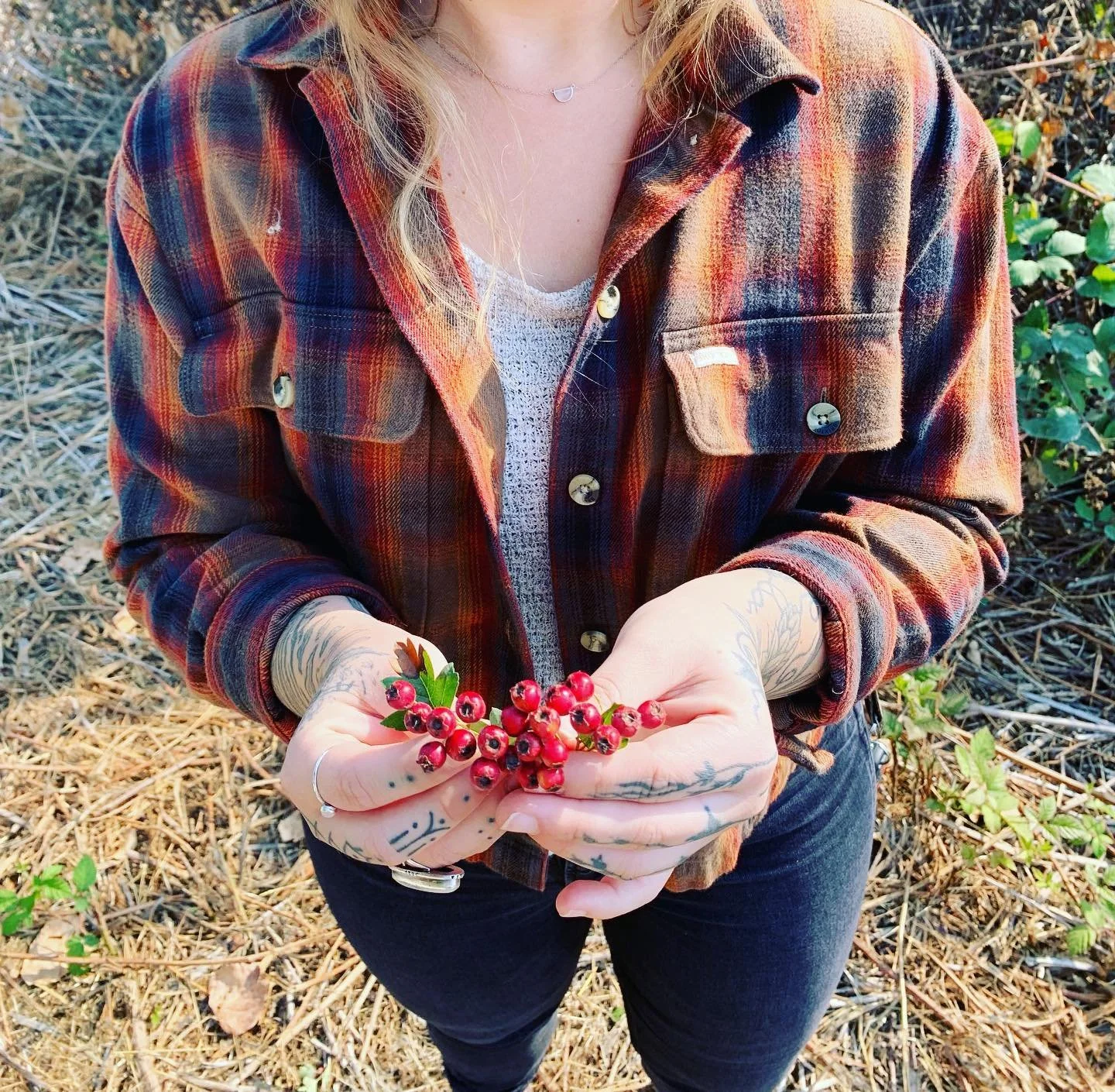 Crateagus mongyna &mdash; Hawthorn (fruit) season is upon us. 

In Celtic mythology hawthorn is regarded as one of the most sacred trees that symbolizes love and protection. 

I have a large tree growing outside of my living room window. I receive a 